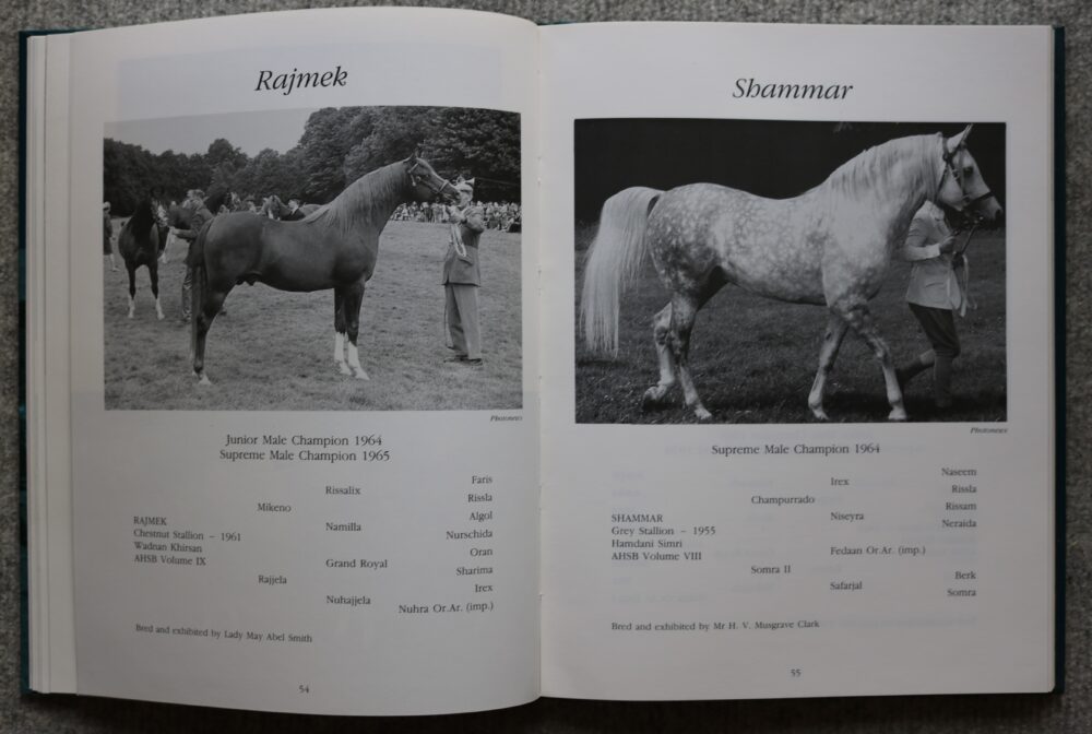 Arab Horse Champions 1953-1992 Deirdre Hyde - Image 11