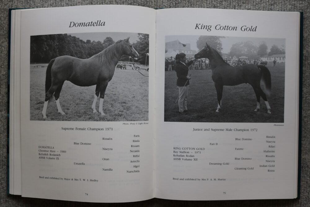 Arab Horse Champions 1953-1992 Deirdre Hyde - Image 12