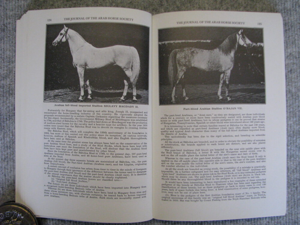 Arab Horse Society Journal 1935-38 - Image 10