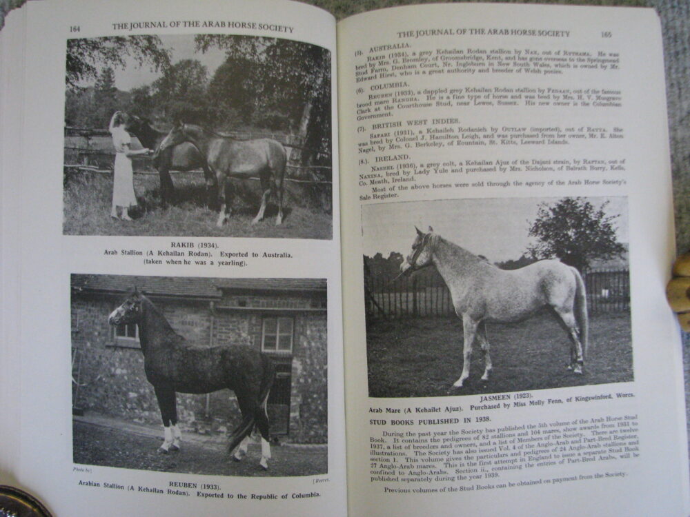 Arab Horse Society Journal 1935-38 - Image 11