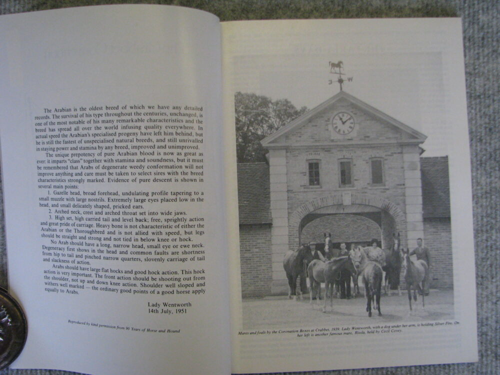 Crabbet Convention 1985 - Image 2