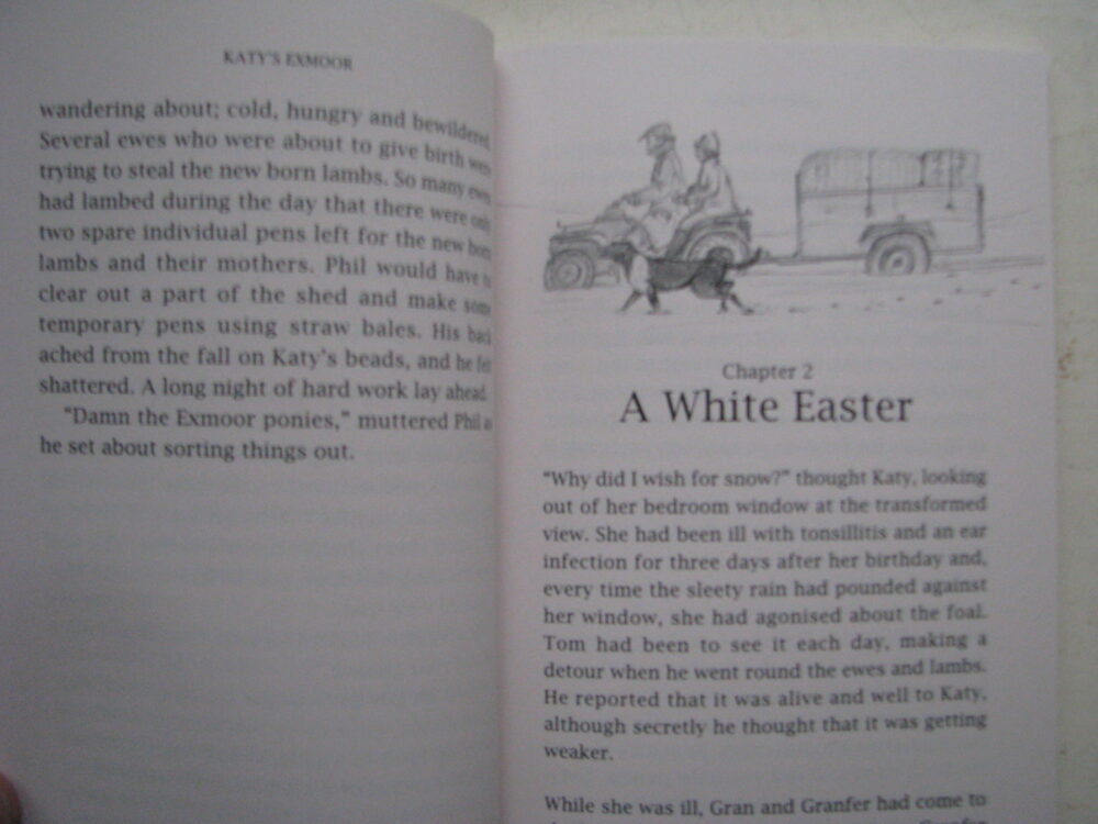 Katy's Exmoor The story of an Exmoor Pony, Victoria Eveleigh - Image 3