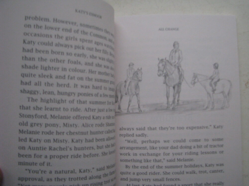 Katy's Exmoor The story of an Exmoor Pony, Victoria Eveleigh - Image 4