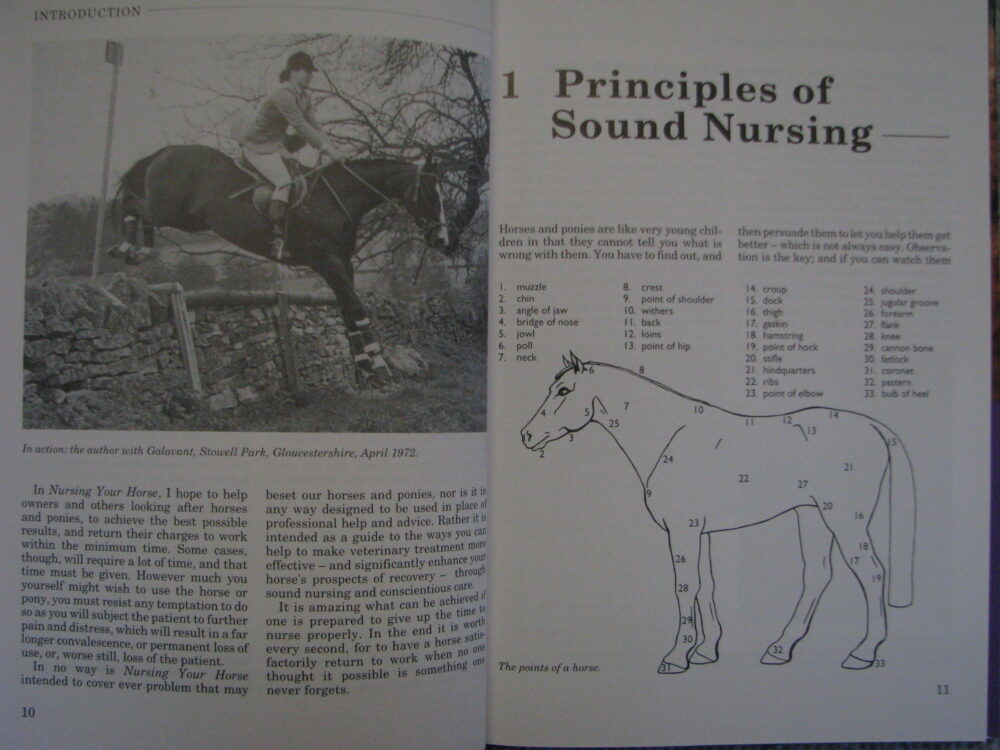 Nursing Your Horse Diana R. Tuke - Image 4