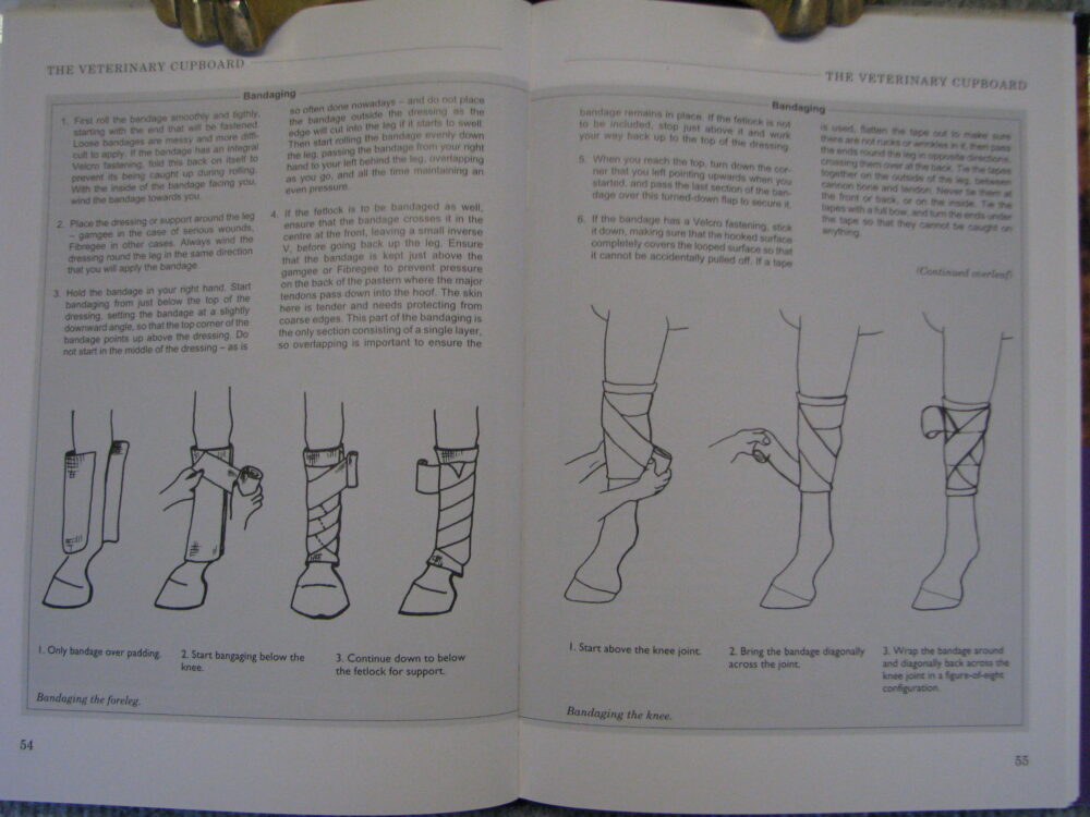 Nursing Your Horse Diana R. Tuke - Image 6
