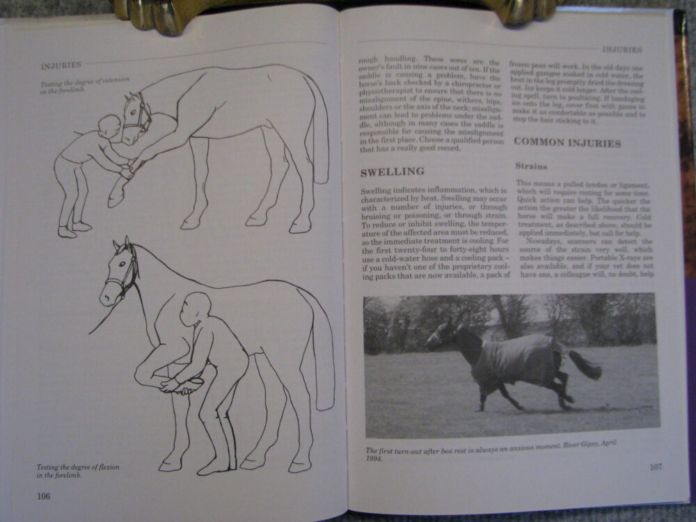 Nursing Your Horse Diana R. Tuke - Image 8