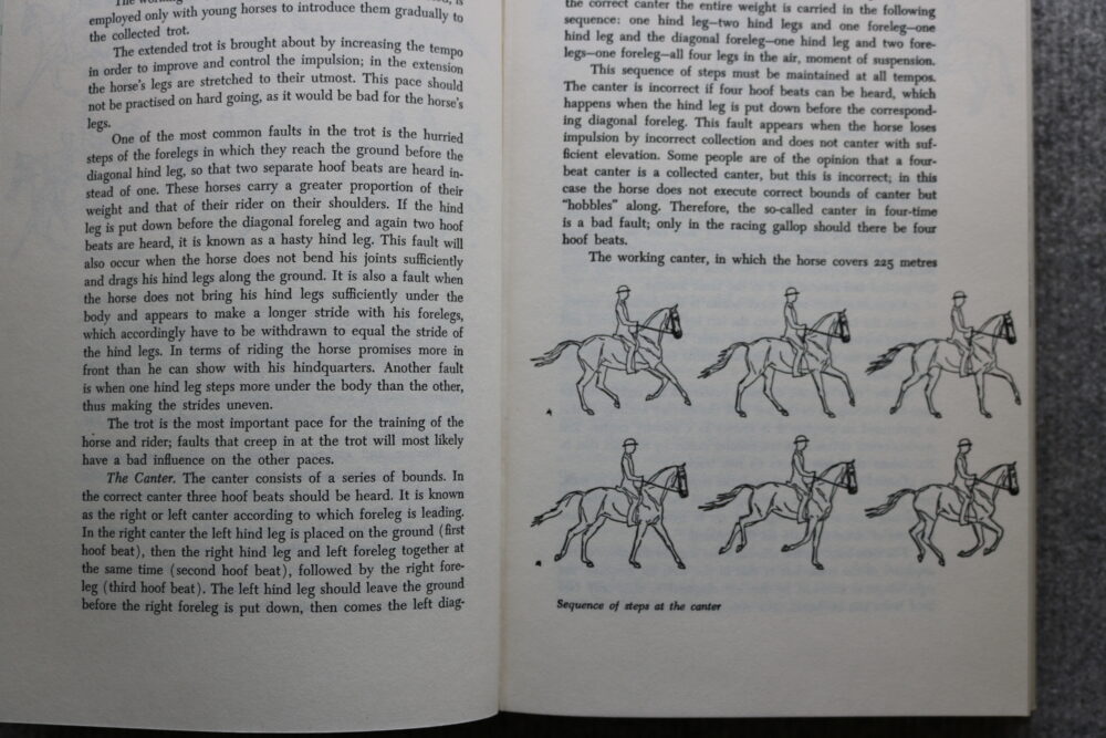 Alois Podhajsky, The Complete Training of Horse and Rider - Image 7