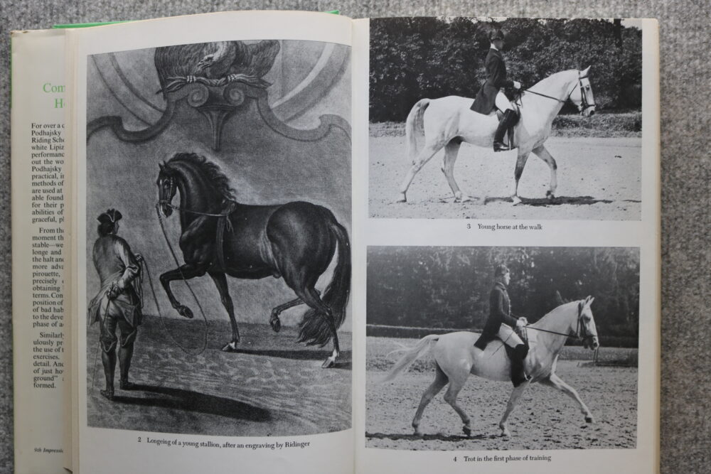 Alois Podhajsky, The Complete Training of Horse and Rider - Image 8