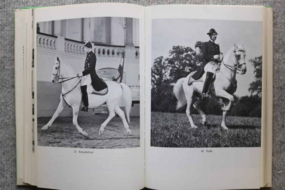 Alois Podhajsky, The Complete Training of Horse and Rider - Image 14