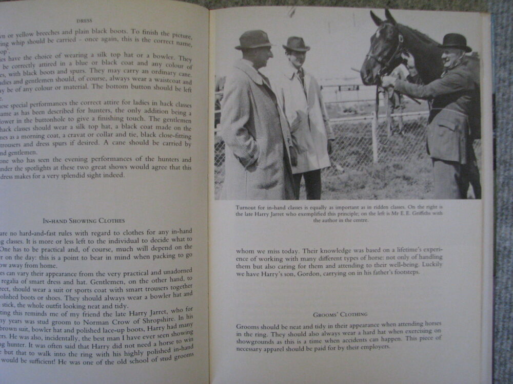 Showing Horse and Ponies Robert Oliver - Image 10
