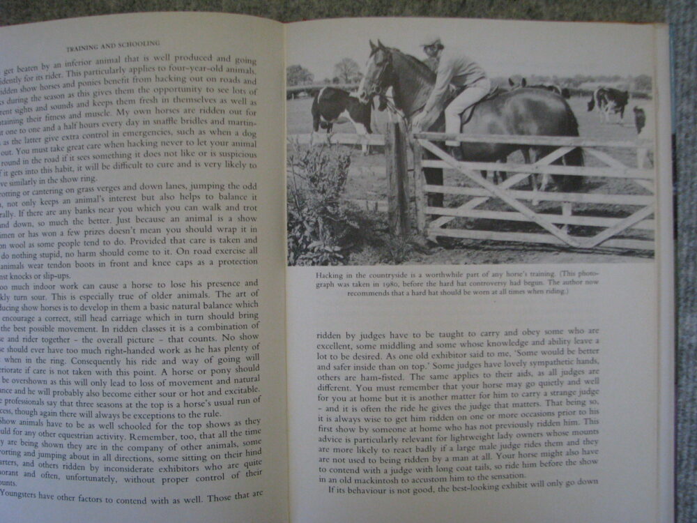 Showing Horse and Ponies Robert Oliver - Image 11