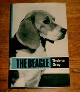The Beagle