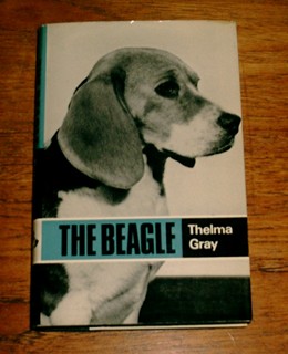 The Beagle