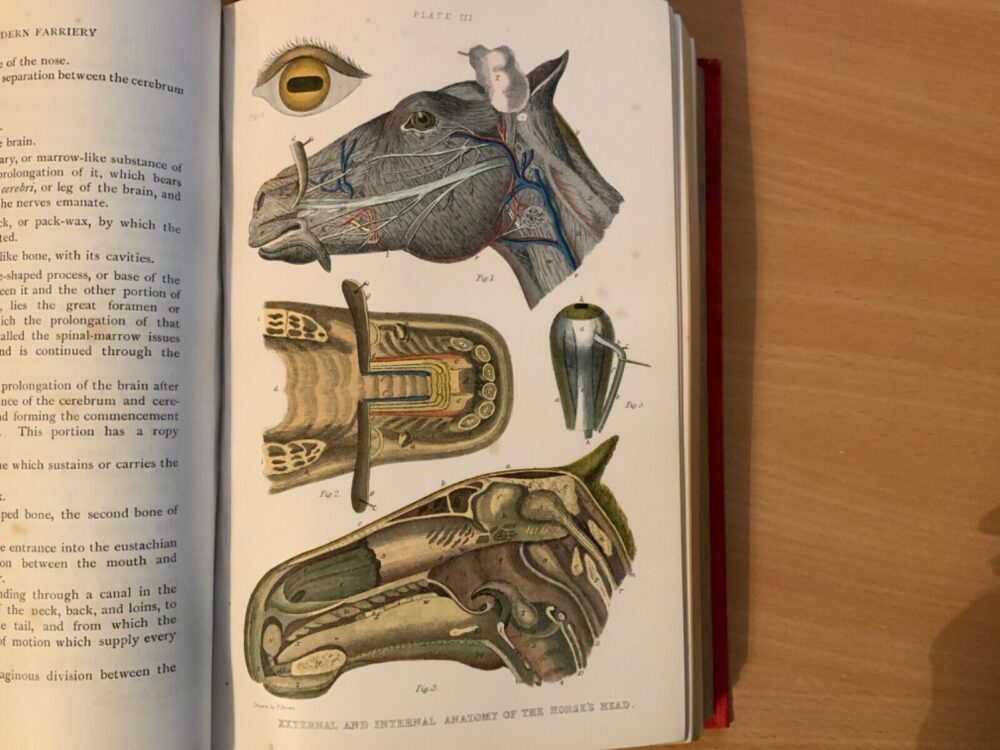 The Complete Modern Farrier, A compendium of veterinary science and practice, Thomas Brown M.P.S. - Image 6