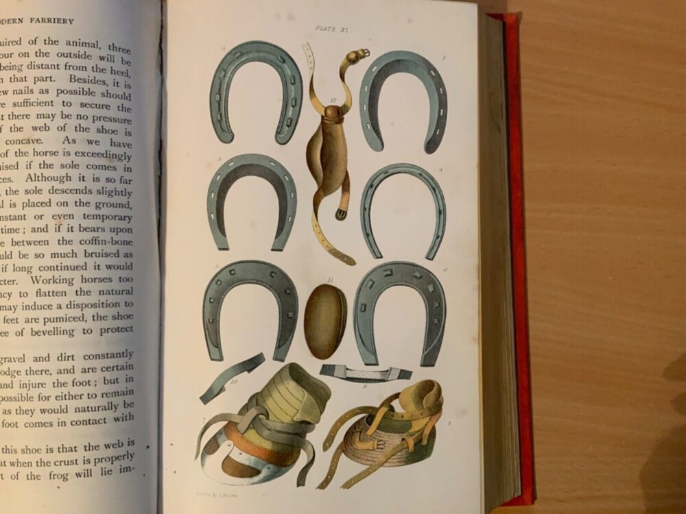The Complete Modern Farrier, A compendium of veterinary science and practice, Thomas Brown M.P.S. - Image 7