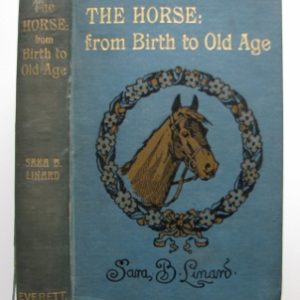 The Horse