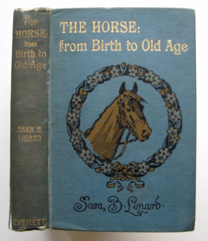 The Horse