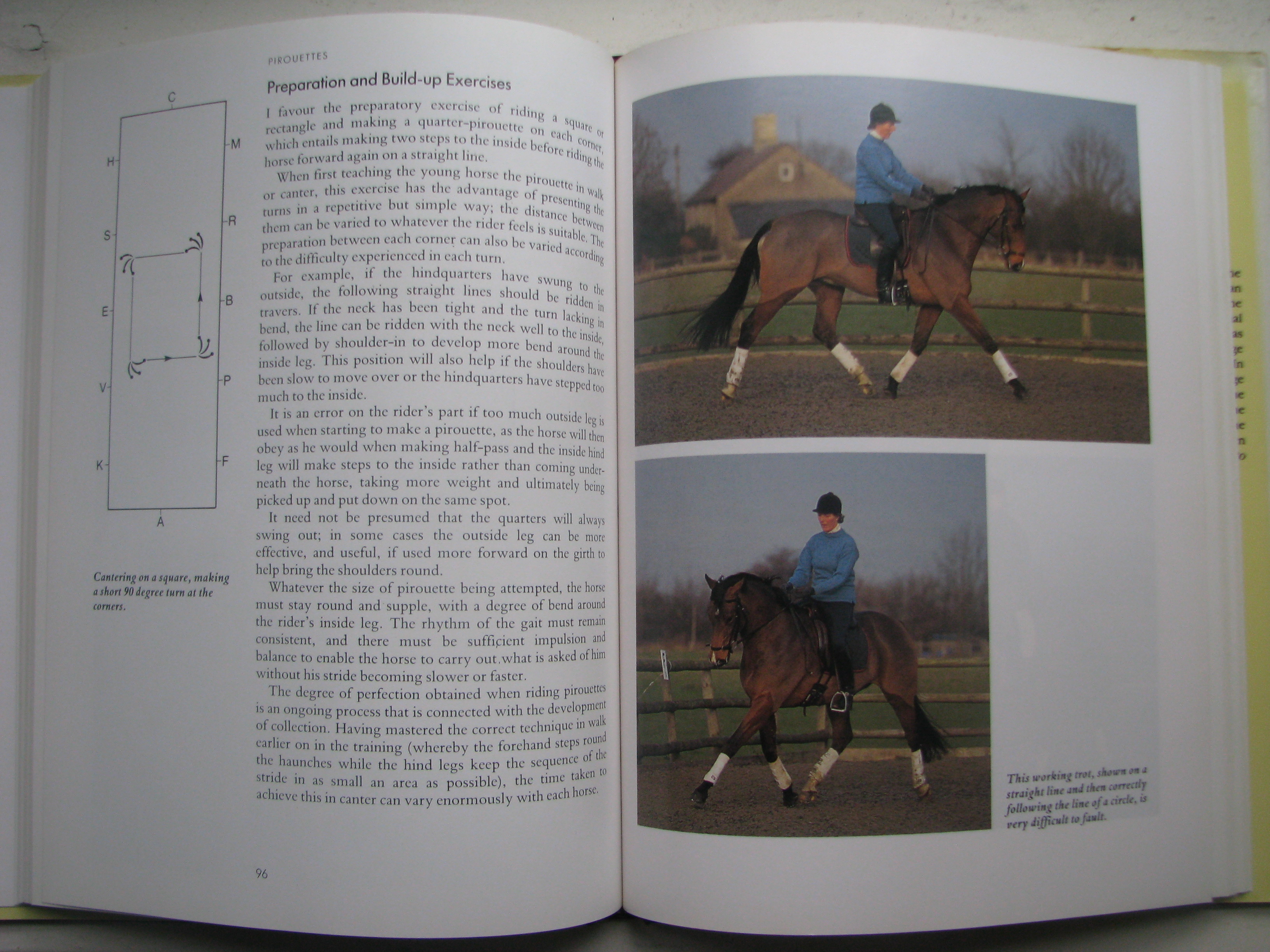 Advanced Training for the Dressage Horse Tricia Gardiner - Image 5
