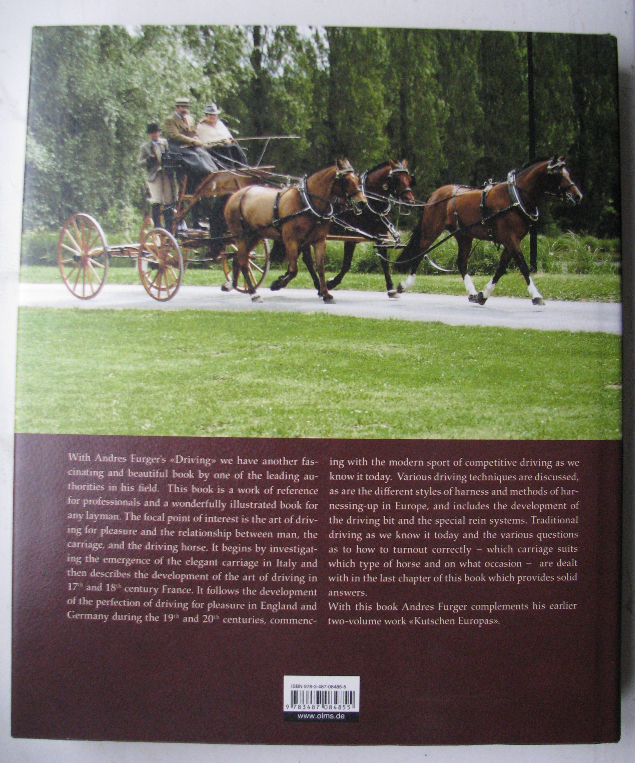 Driving, The horse the man and the carriage, Andres Furger - Image 2