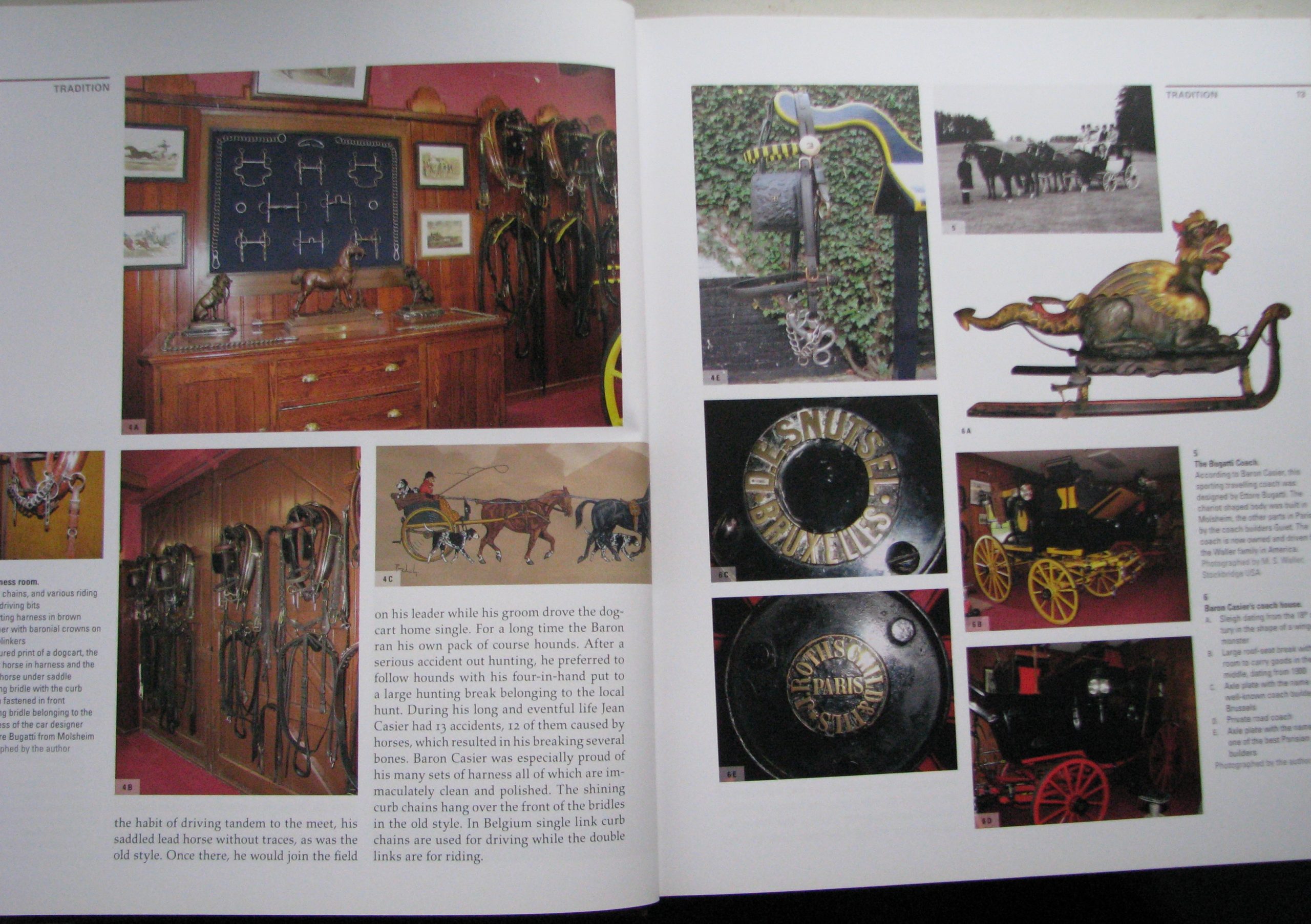 Driving, The horse the man and the carriage, Andres Furger - Image 3