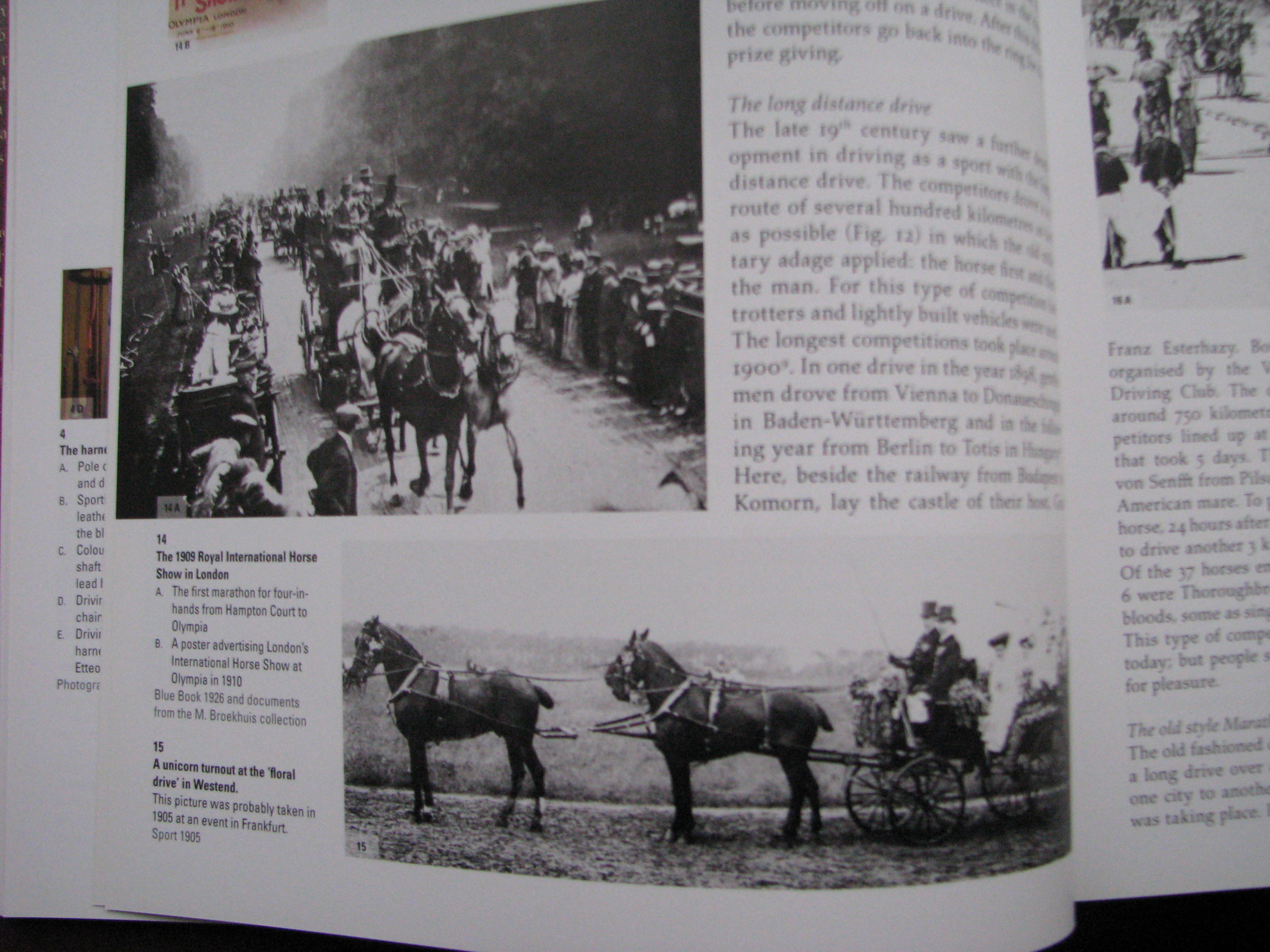 Driving, The horse the man and the carriage, Andres Furger - Image 4