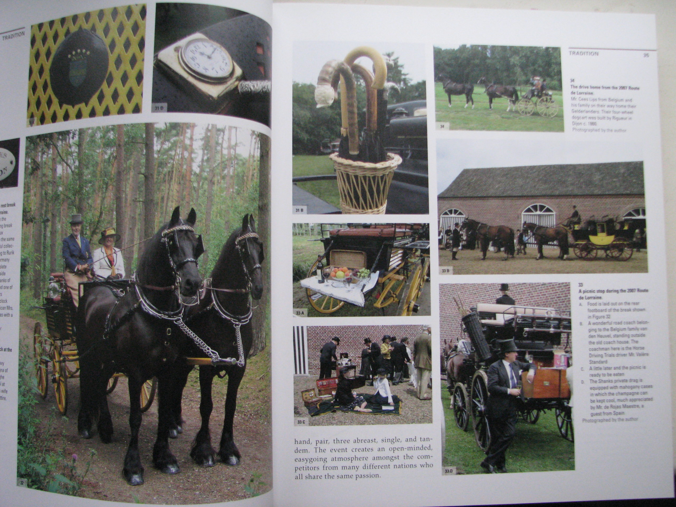 Driving, The horse the man and the carriage, Andres Furger - Image 5