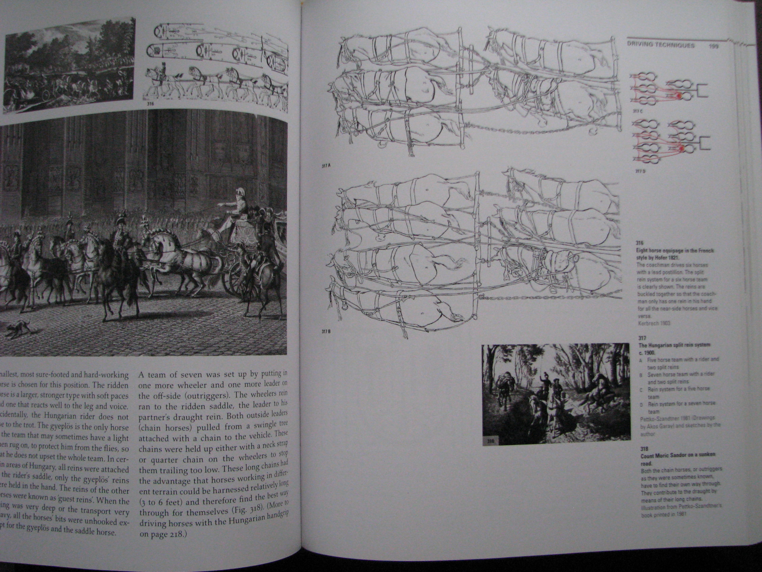 Driving, The horse the man and the carriage, Andres Furger - Image 10