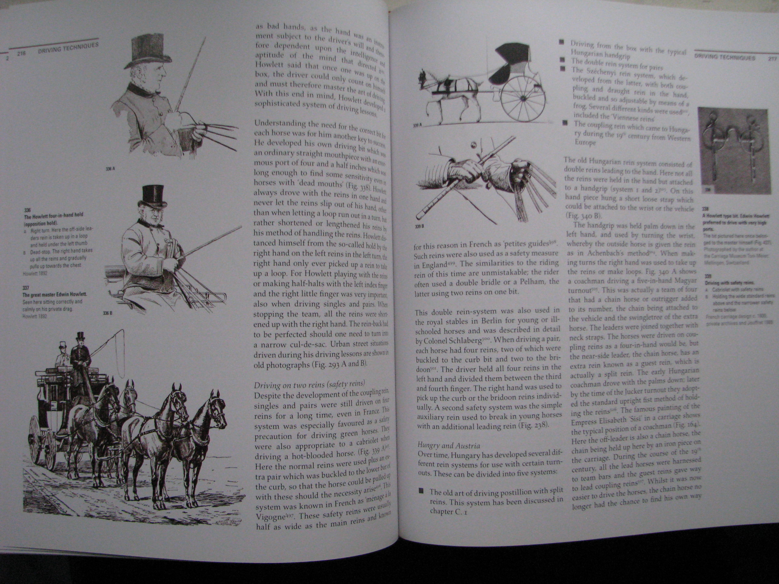 Driving, The horse the man and the carriage, Andres Furger - Image 11
