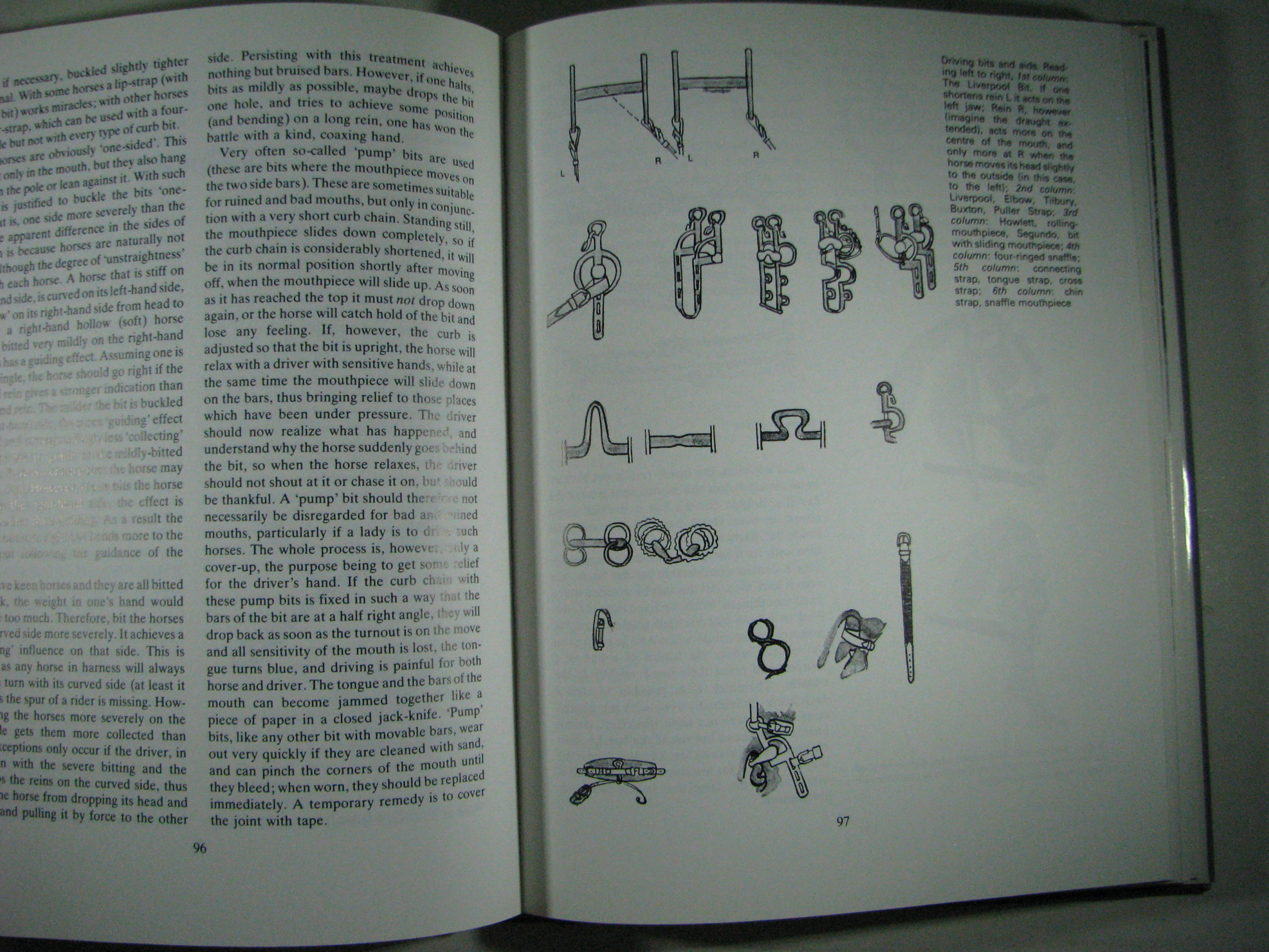 The Art of Driving, Horse and Carriages, Max Pape - Image 10
