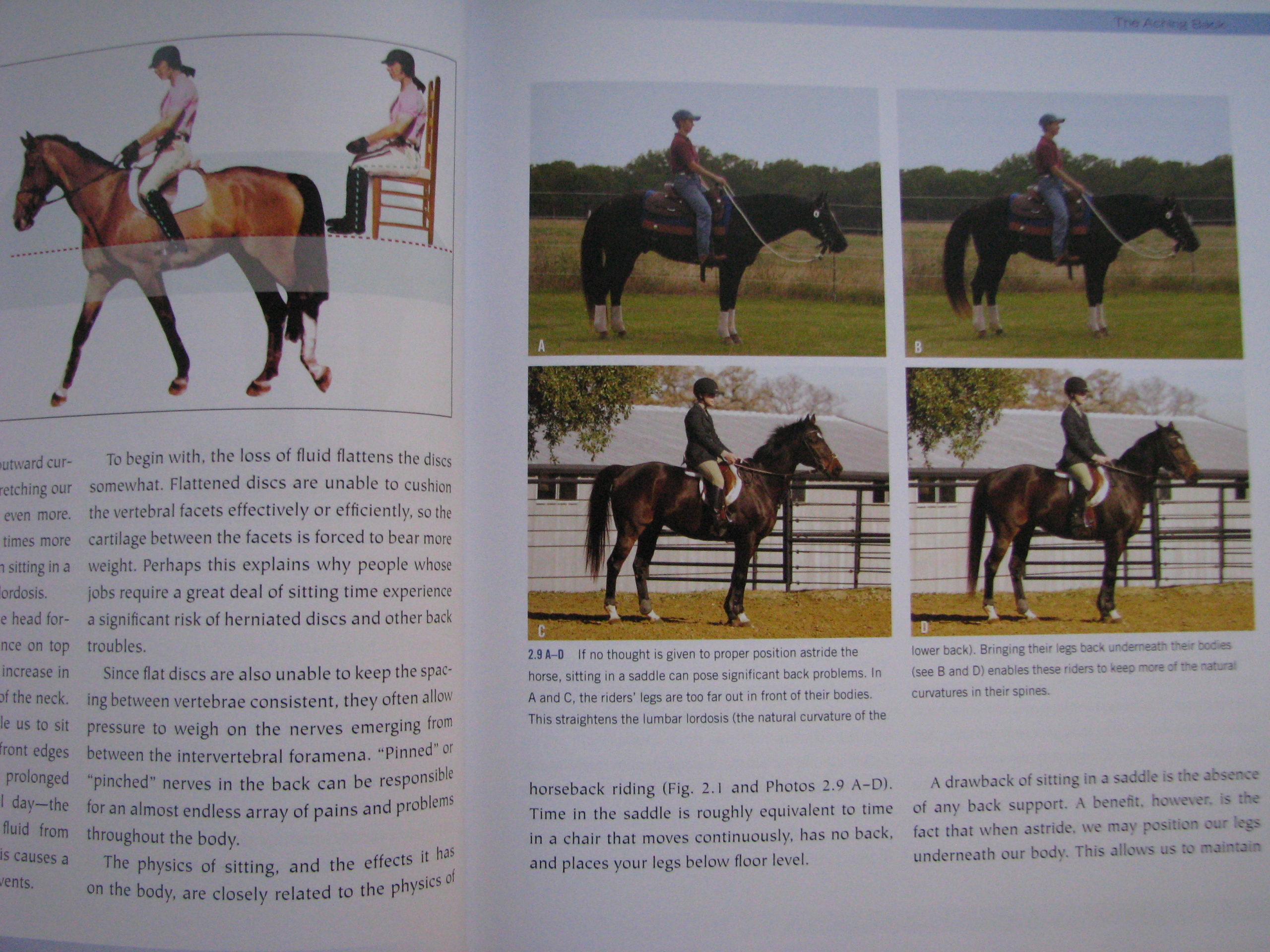 James Warren Riders The Riders Pain Free Back James Warson M.D. - Horse Books