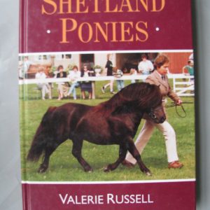 Shetland Ponies Valerie Russell