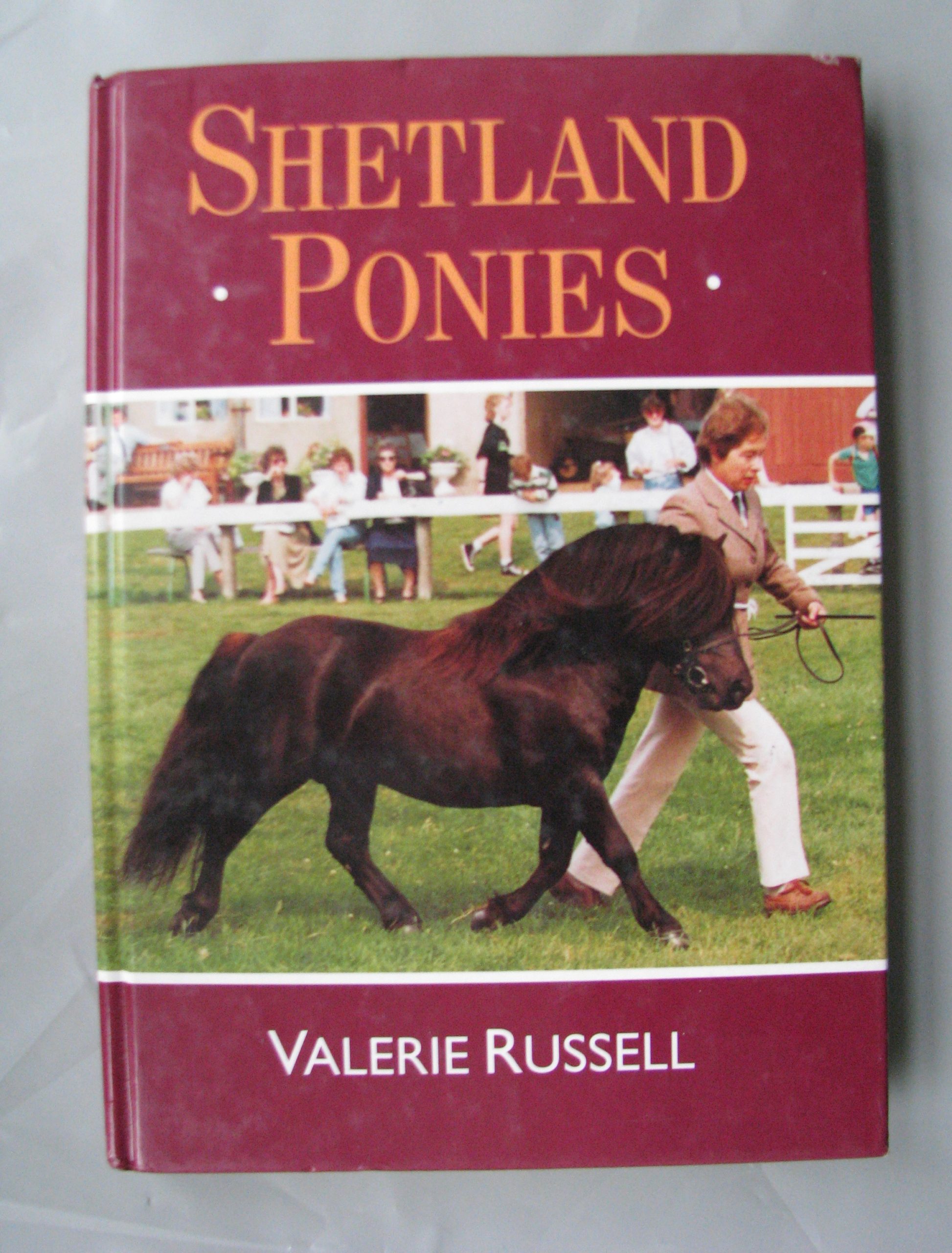 Shetland Ponies Valerie Russell