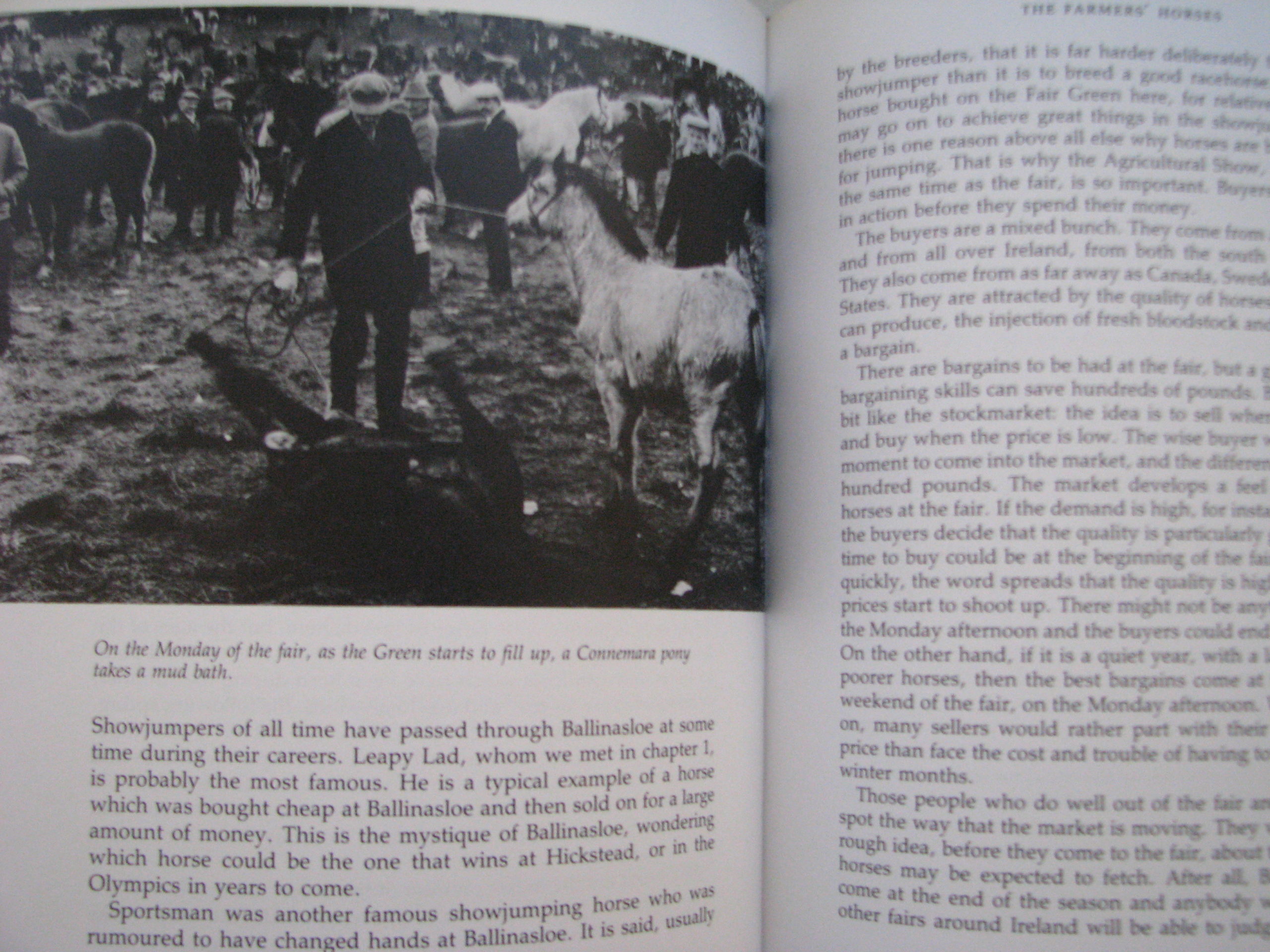 The Great Fair, Horse Dealing at Ballinasloe, Mark Hodstock - Image 11