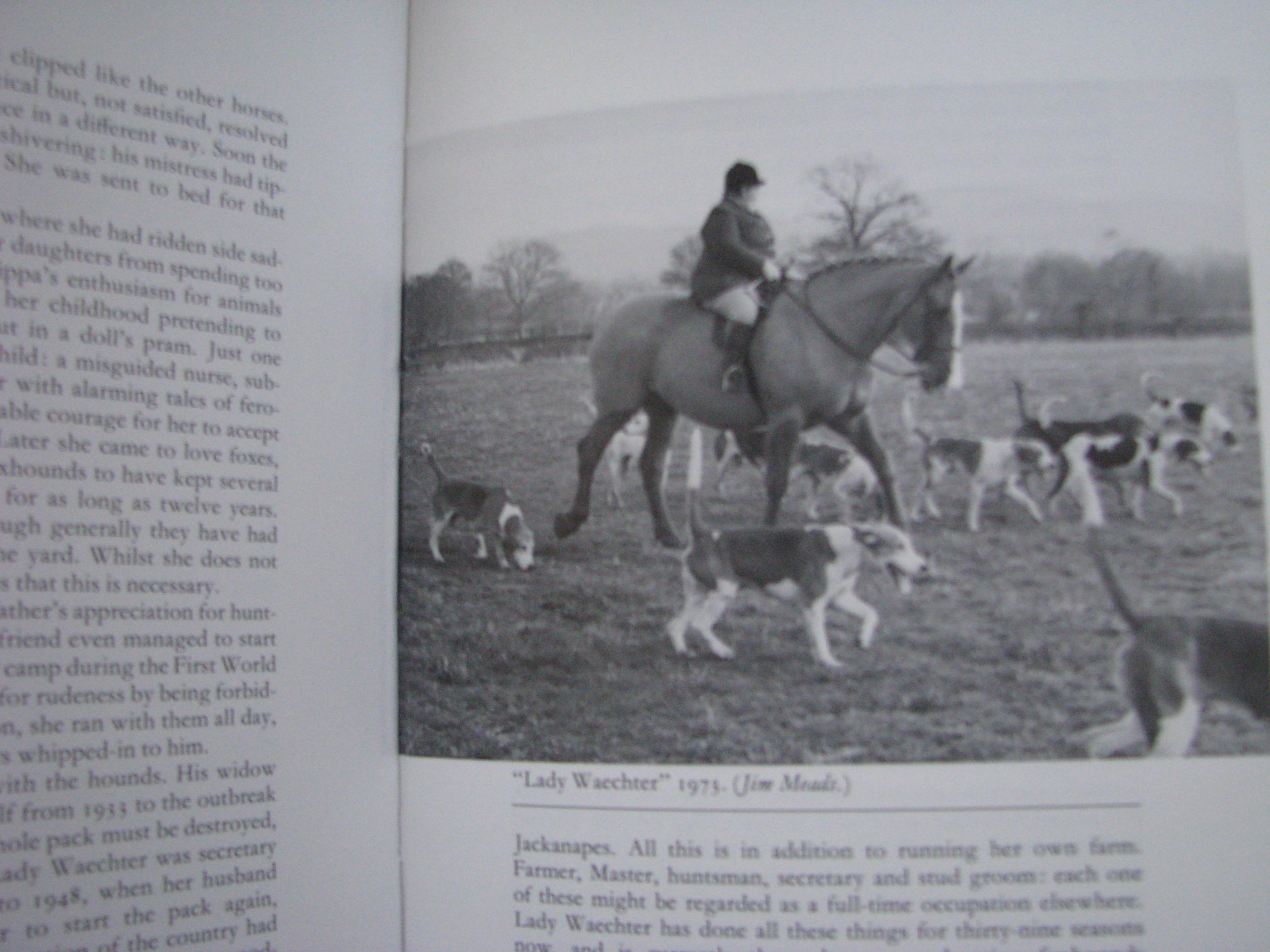 Ladies of the Chase Meriel Buxton - Image 11