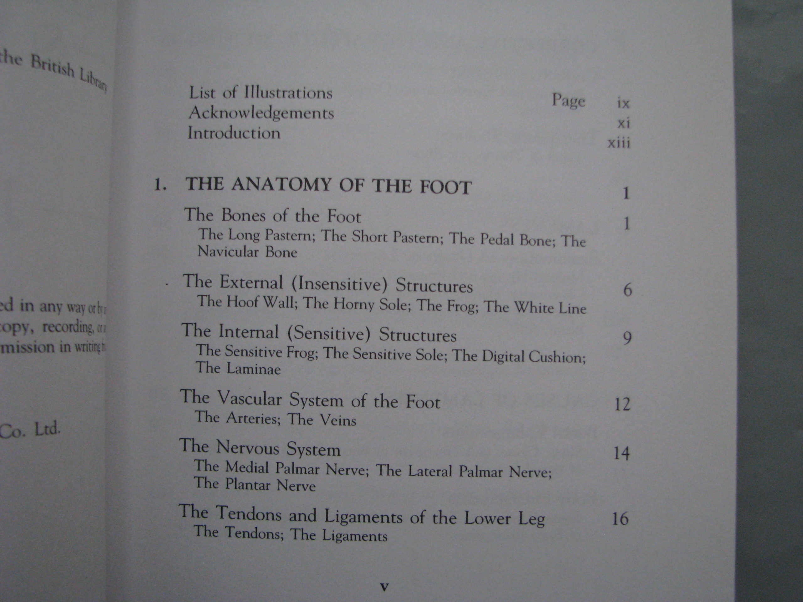 The Horse Foot, Shoeing and Lameness, Julie Brega - Image 3