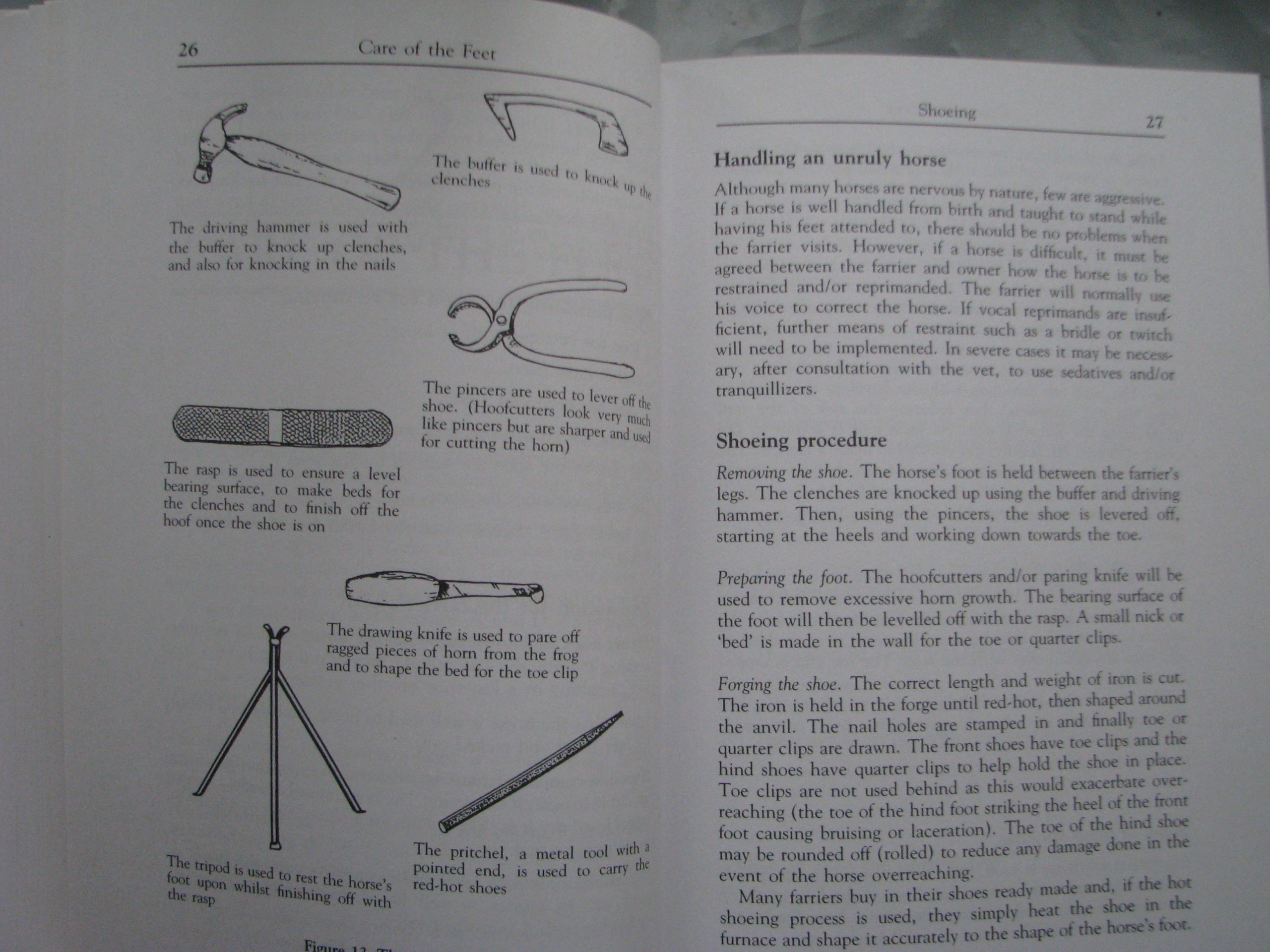 The Horse Foot, Shoeing and Lameness, Julie Brega - Image 6