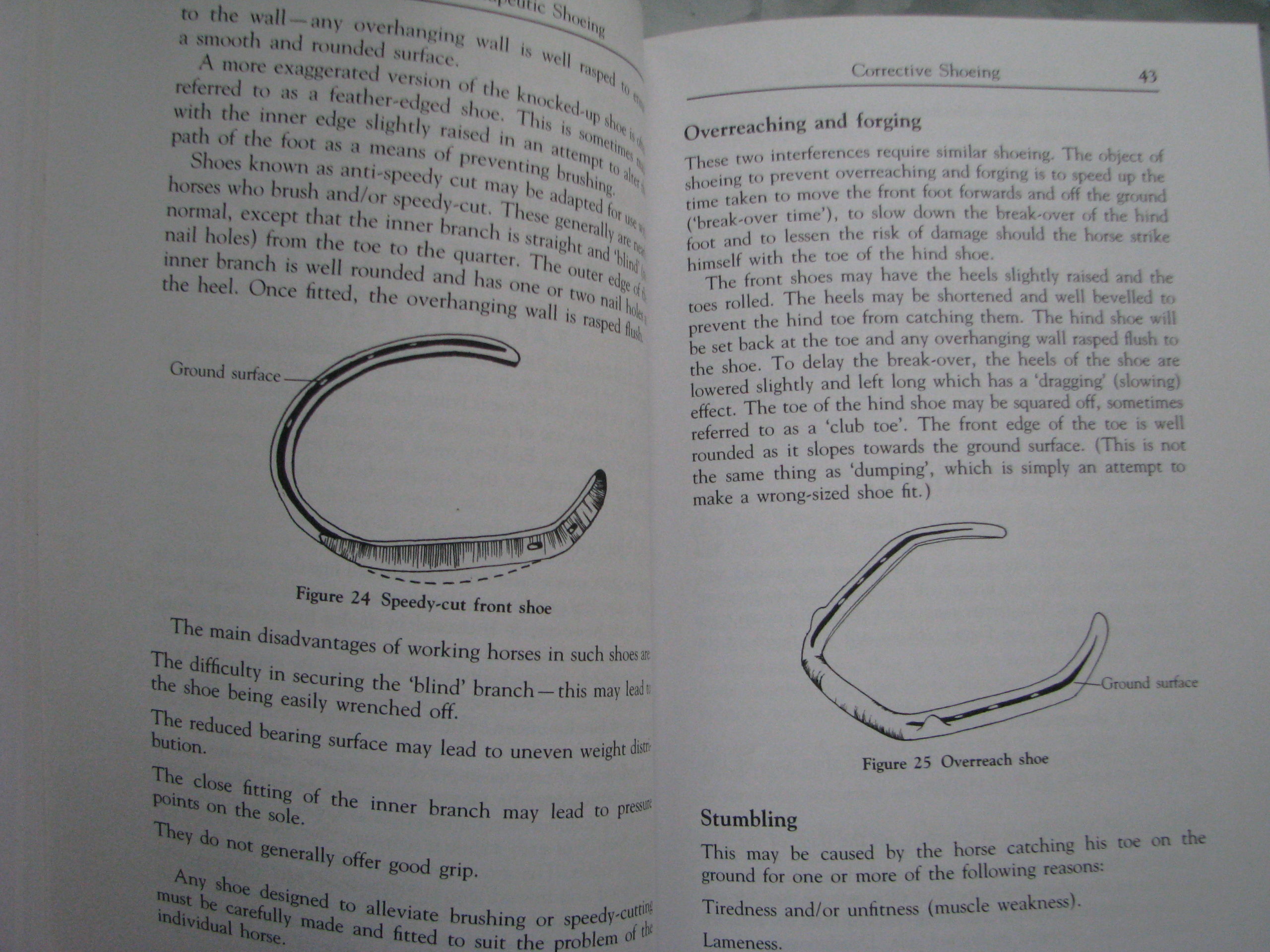 The Horse Foot, Shoeing and Lameness, Julie Brega - Image 7