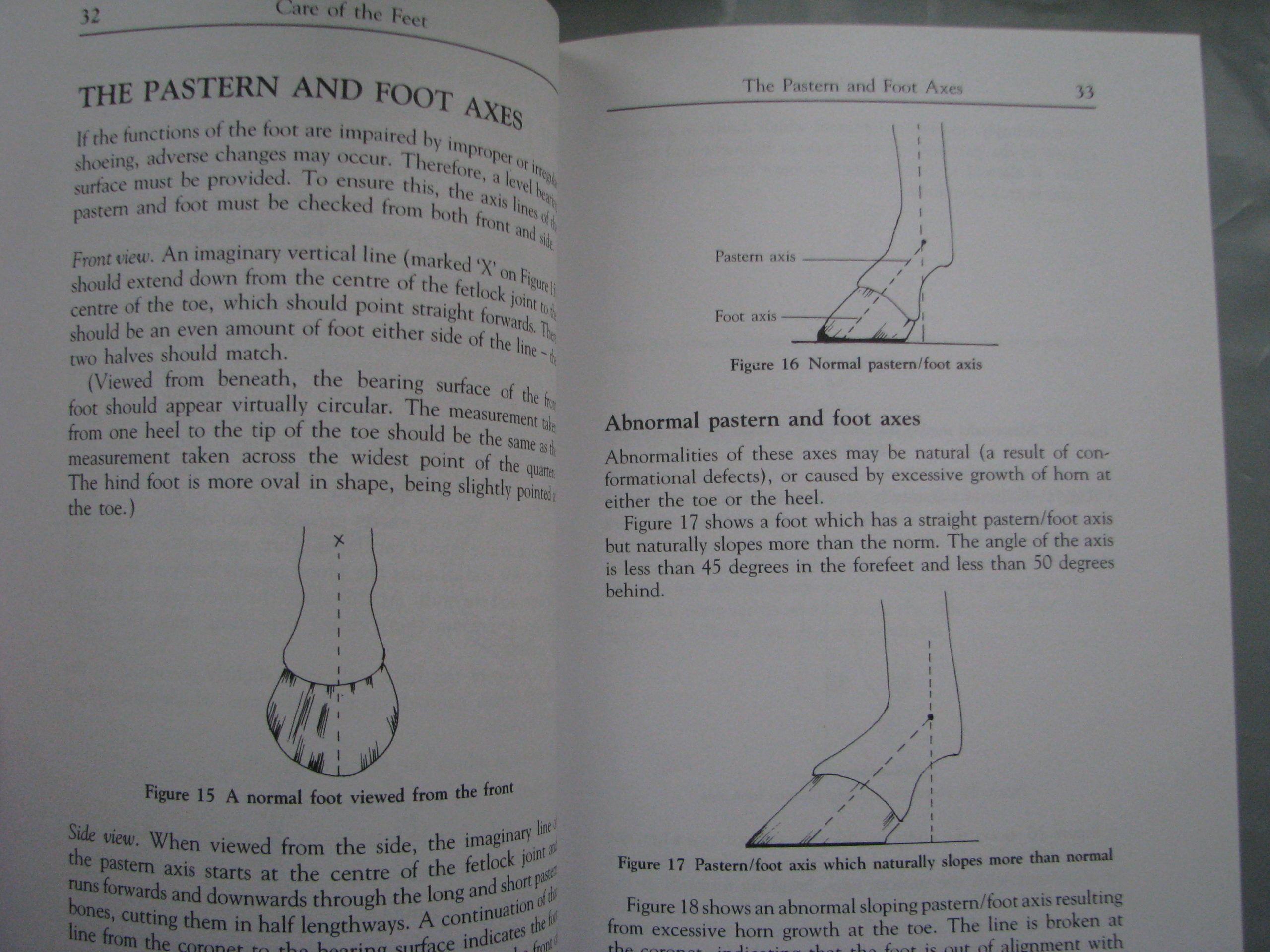 The Horse Foot, Shoeing and Lameness, Julie Brega - Image 10