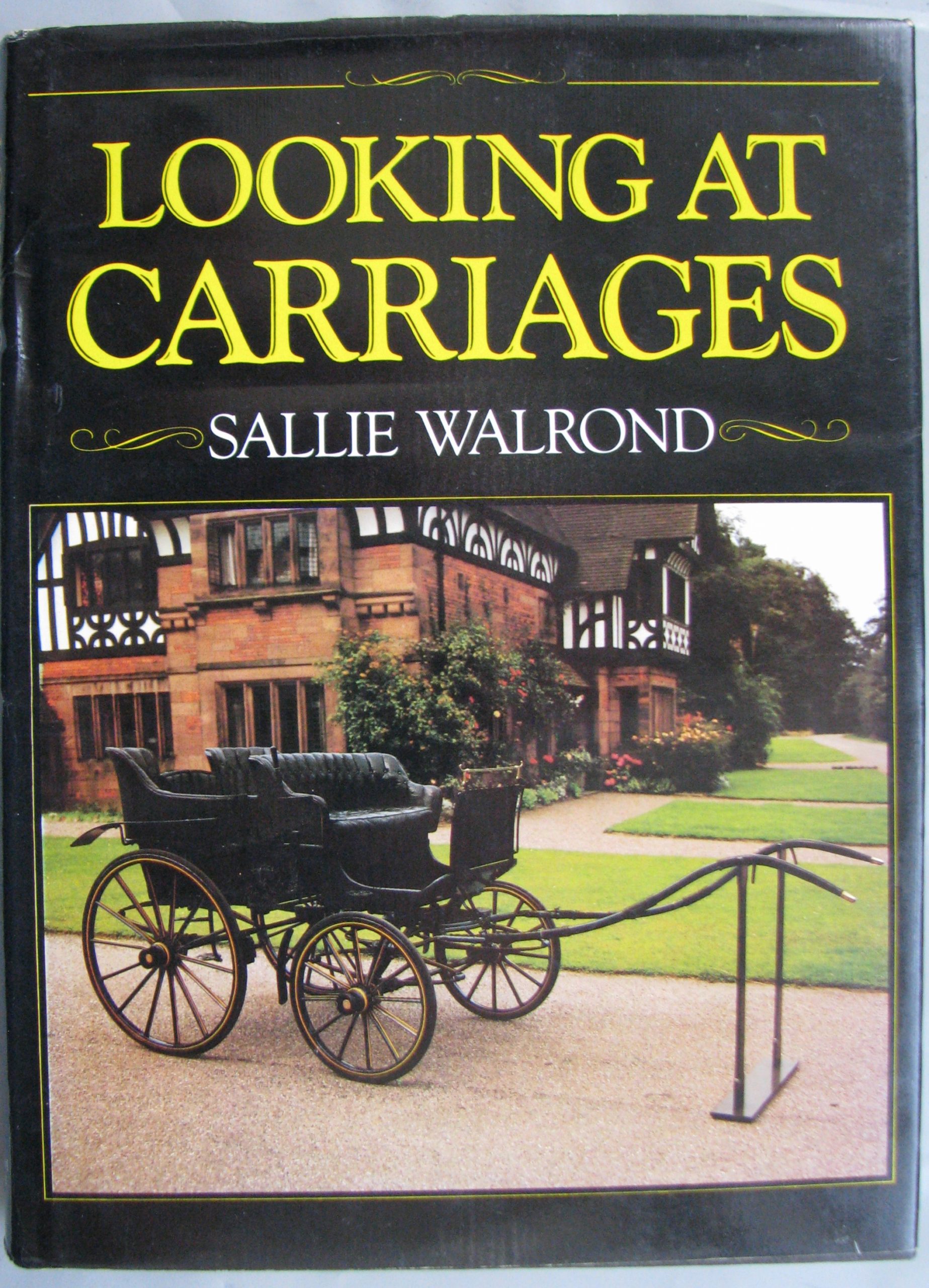 Sallie Walrond, Looking at Carriages