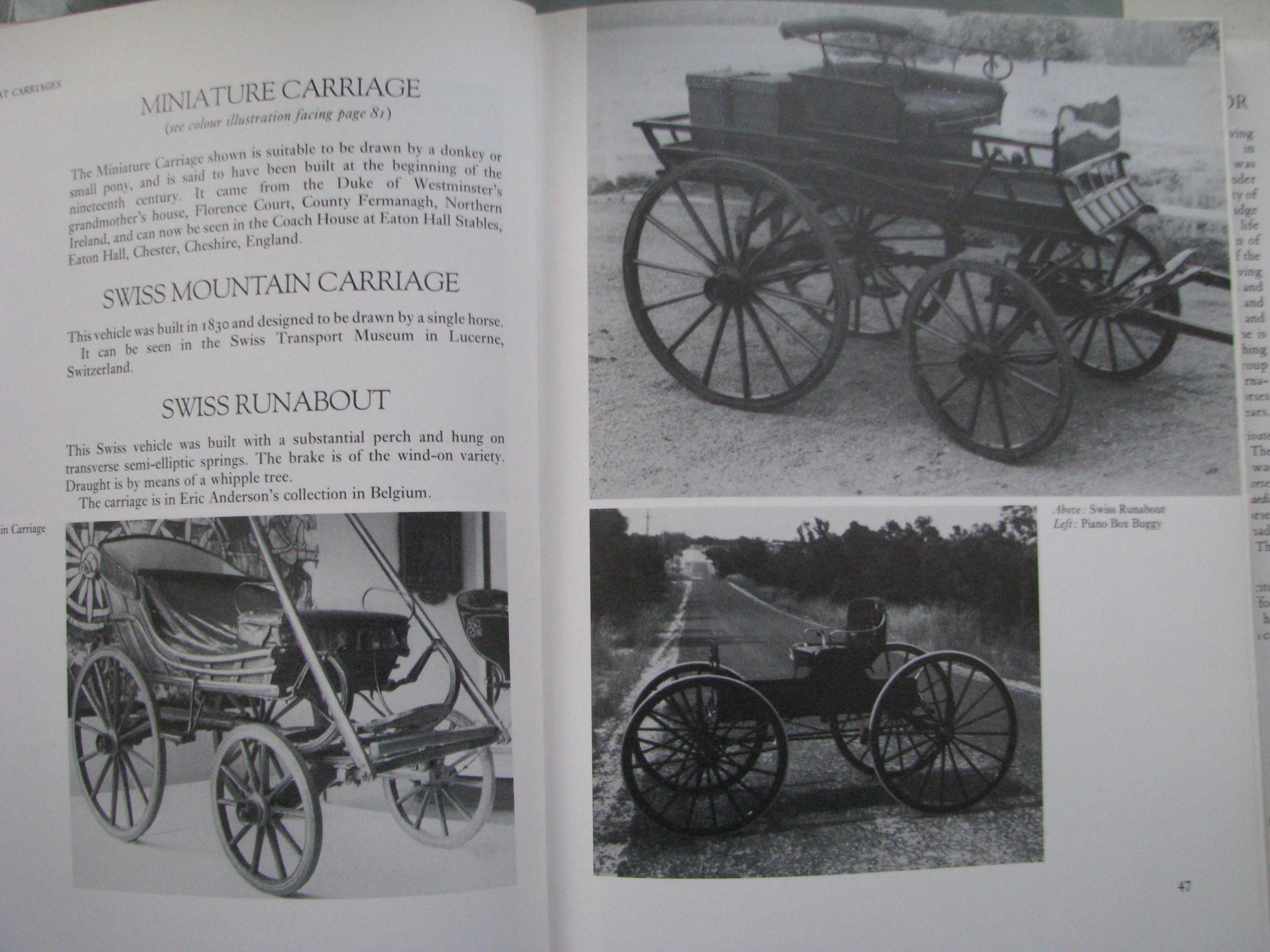 Sallie Walrond, Looking at Carriages - Image 7
