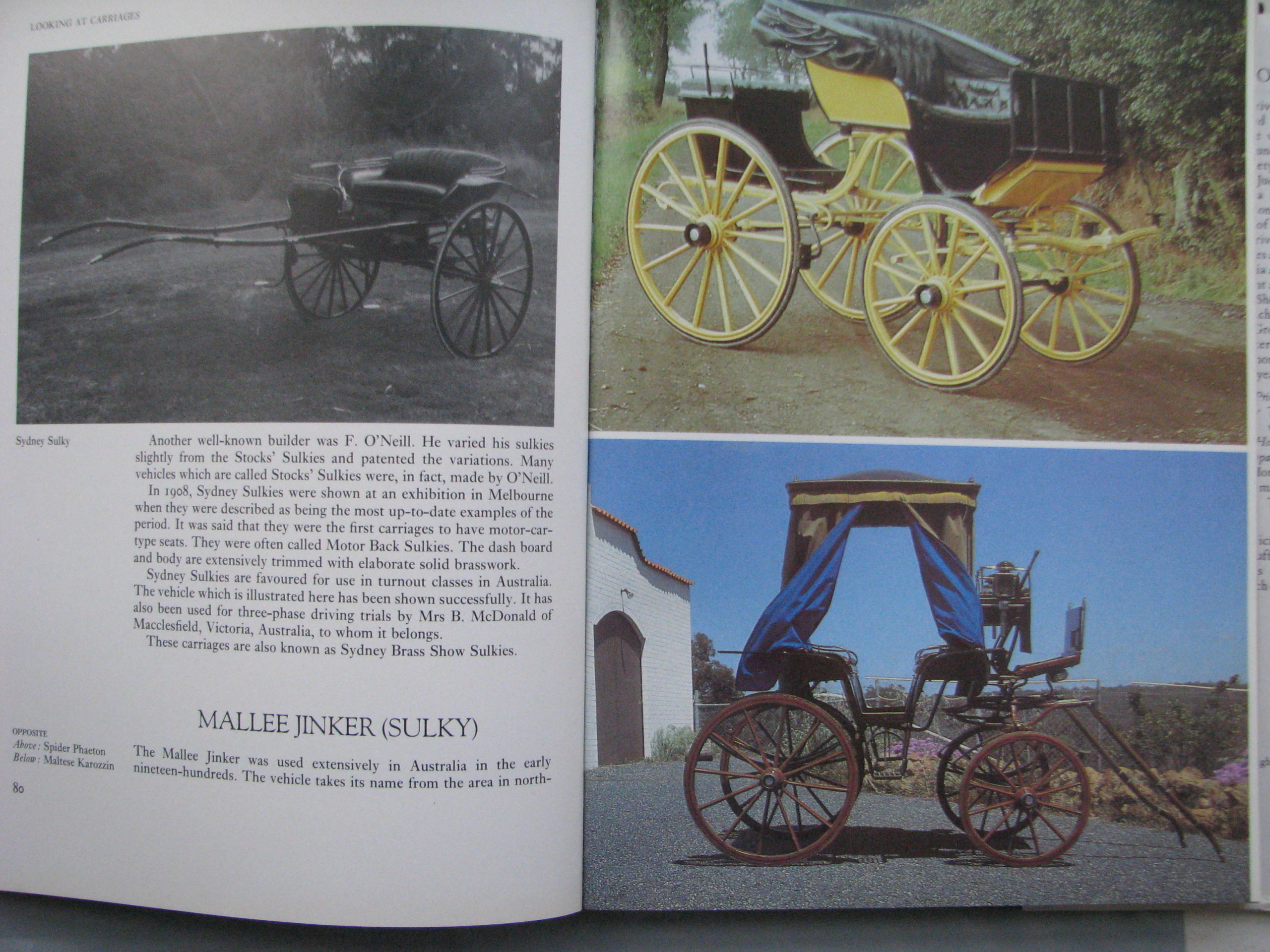 Sallie Walrond, Looking at Carriages - Image 8
