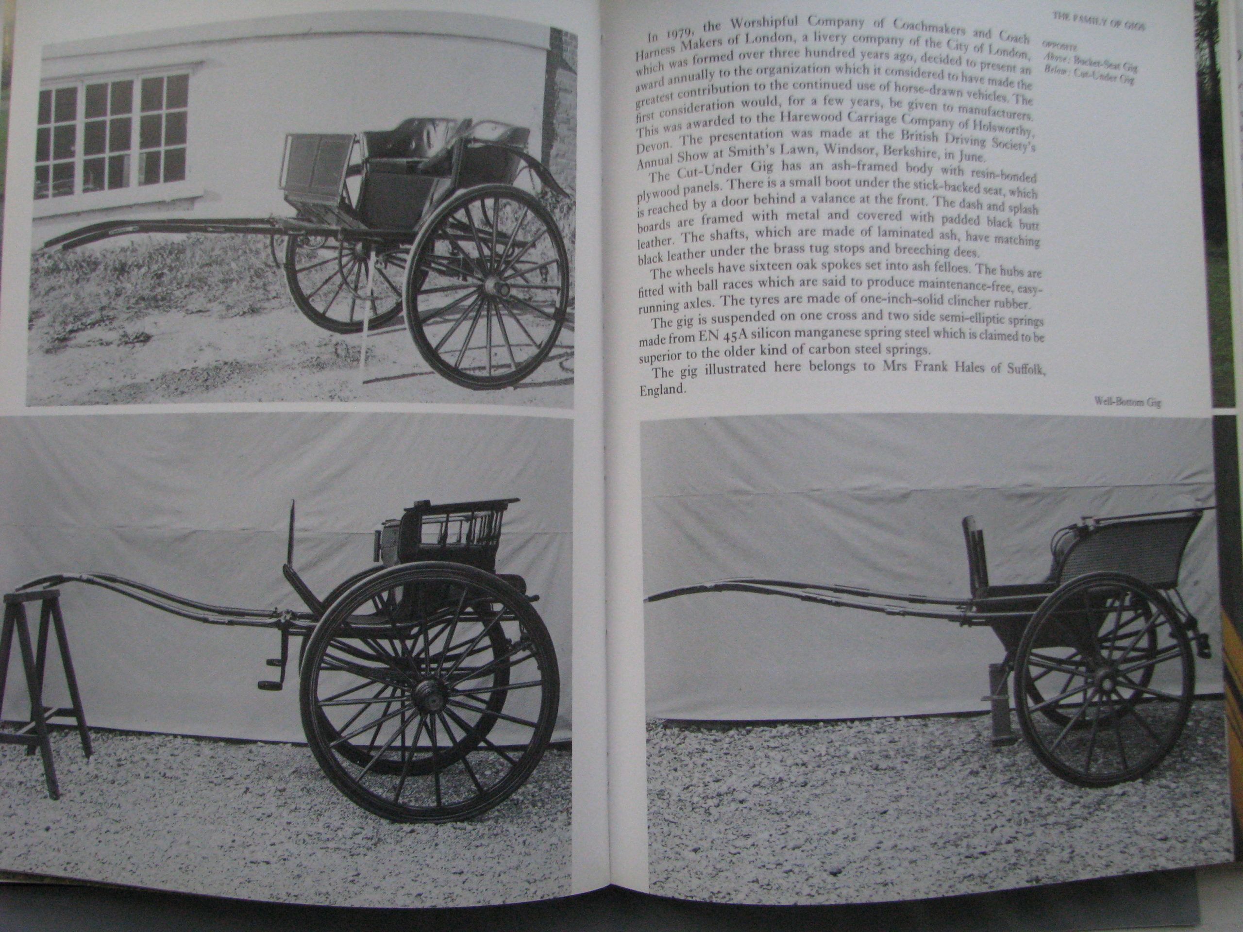 Sallie Walrond, Looking at Carriages - Image 10