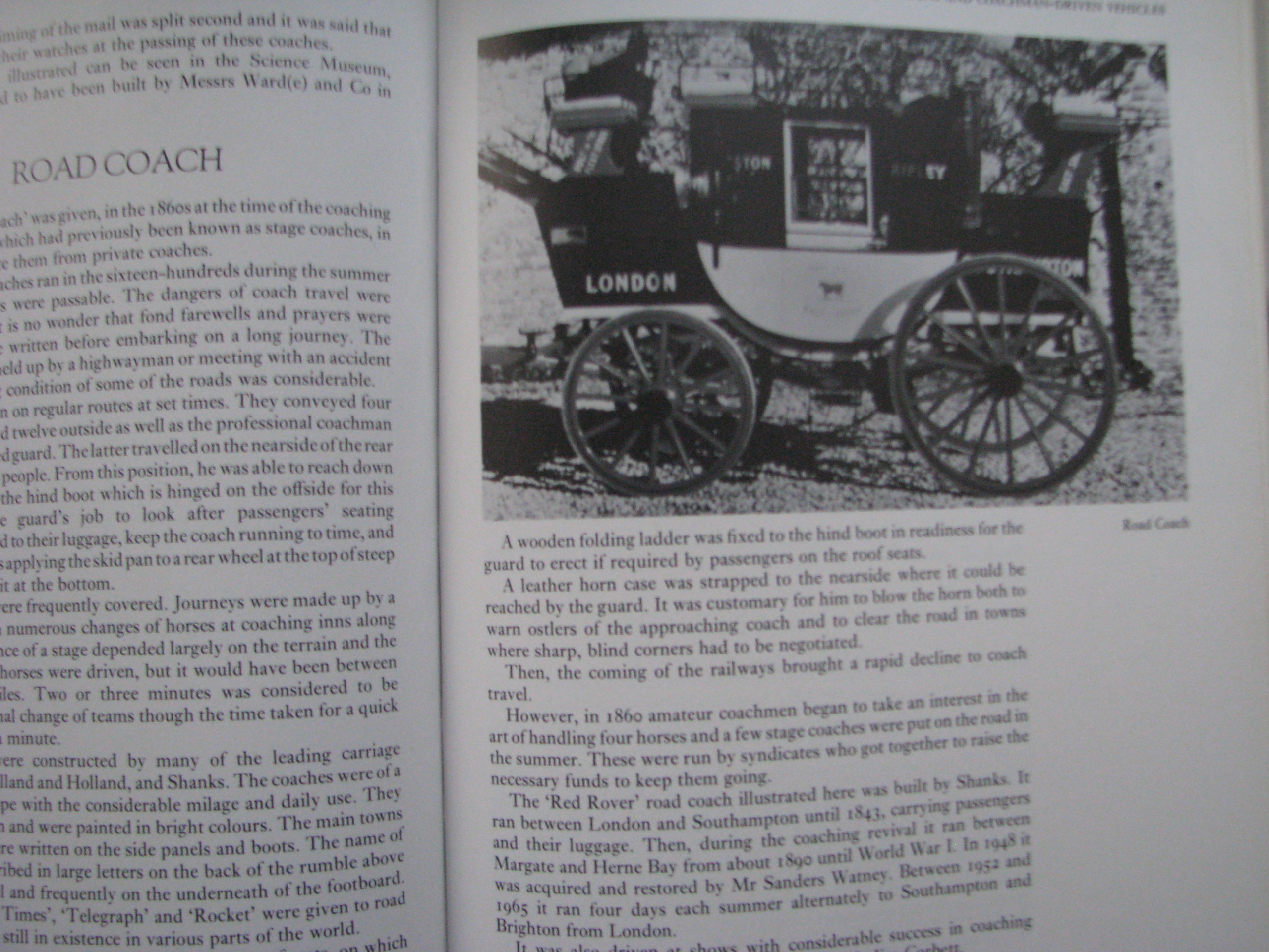 Sallie Walrond, Looking at Carriages - Image 12