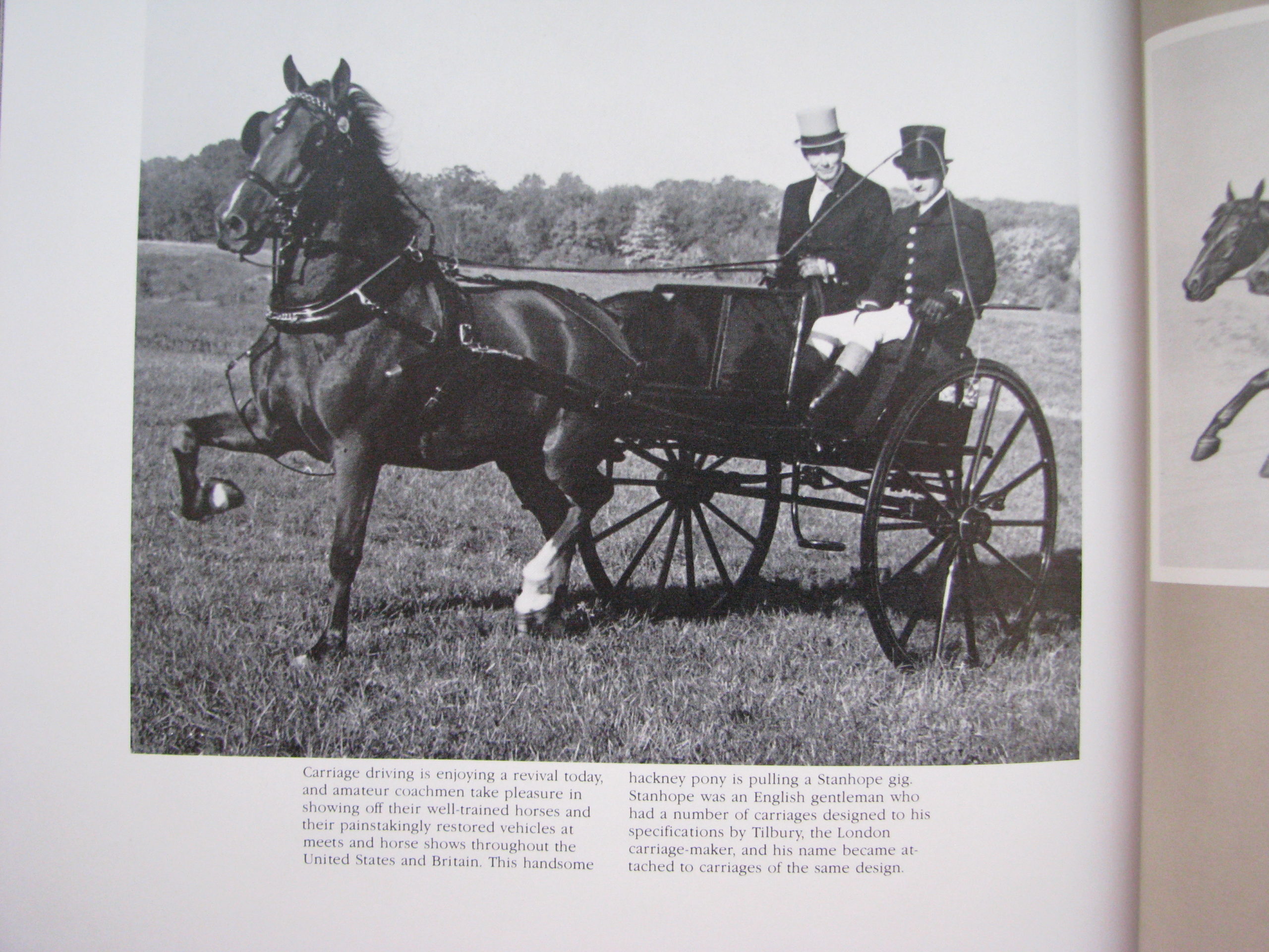 Man and The Horse Mackay-Smith, Druesedow, Tom Ryder - Image 12