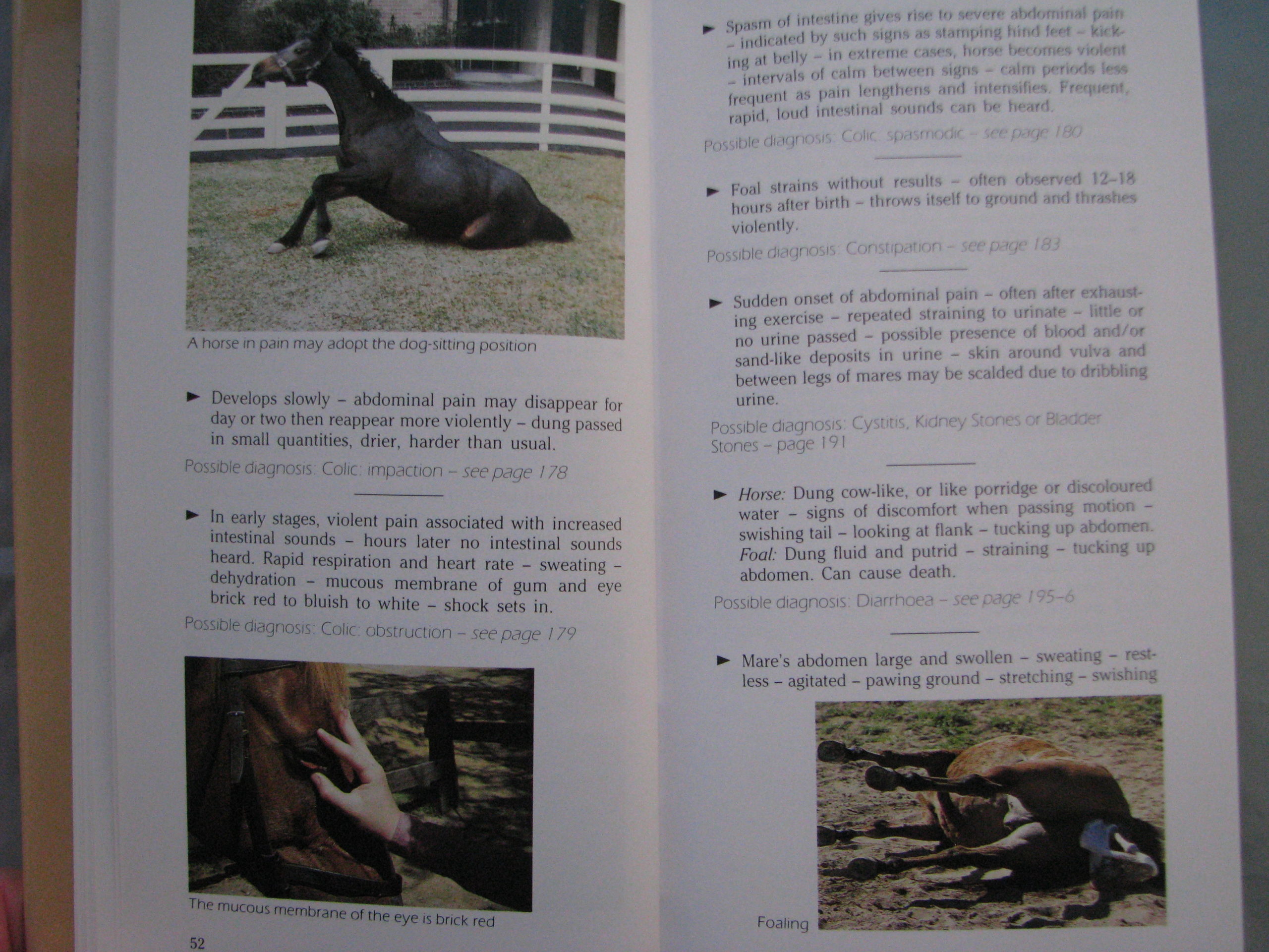 A-Z of Horse Diseases and Health Problems, Tim Hawcroft - Image 5