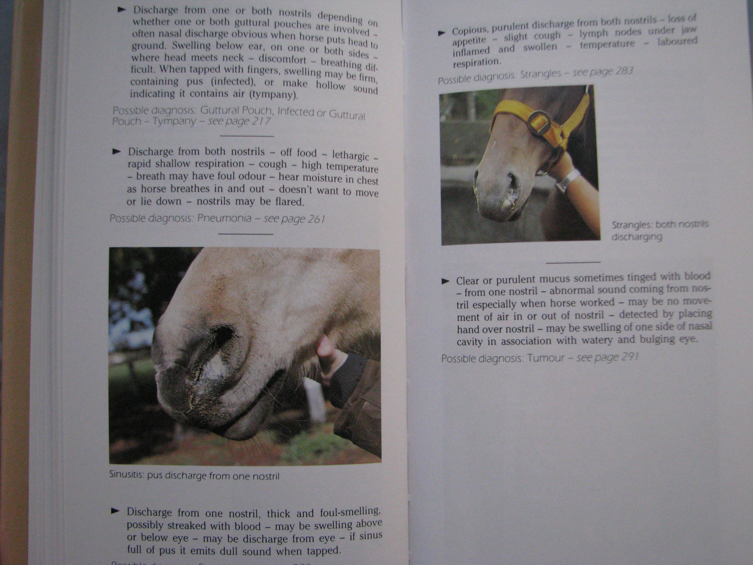 A-Z of Horse Diseases and Health Problems, Tim Hawcroft - Image 6