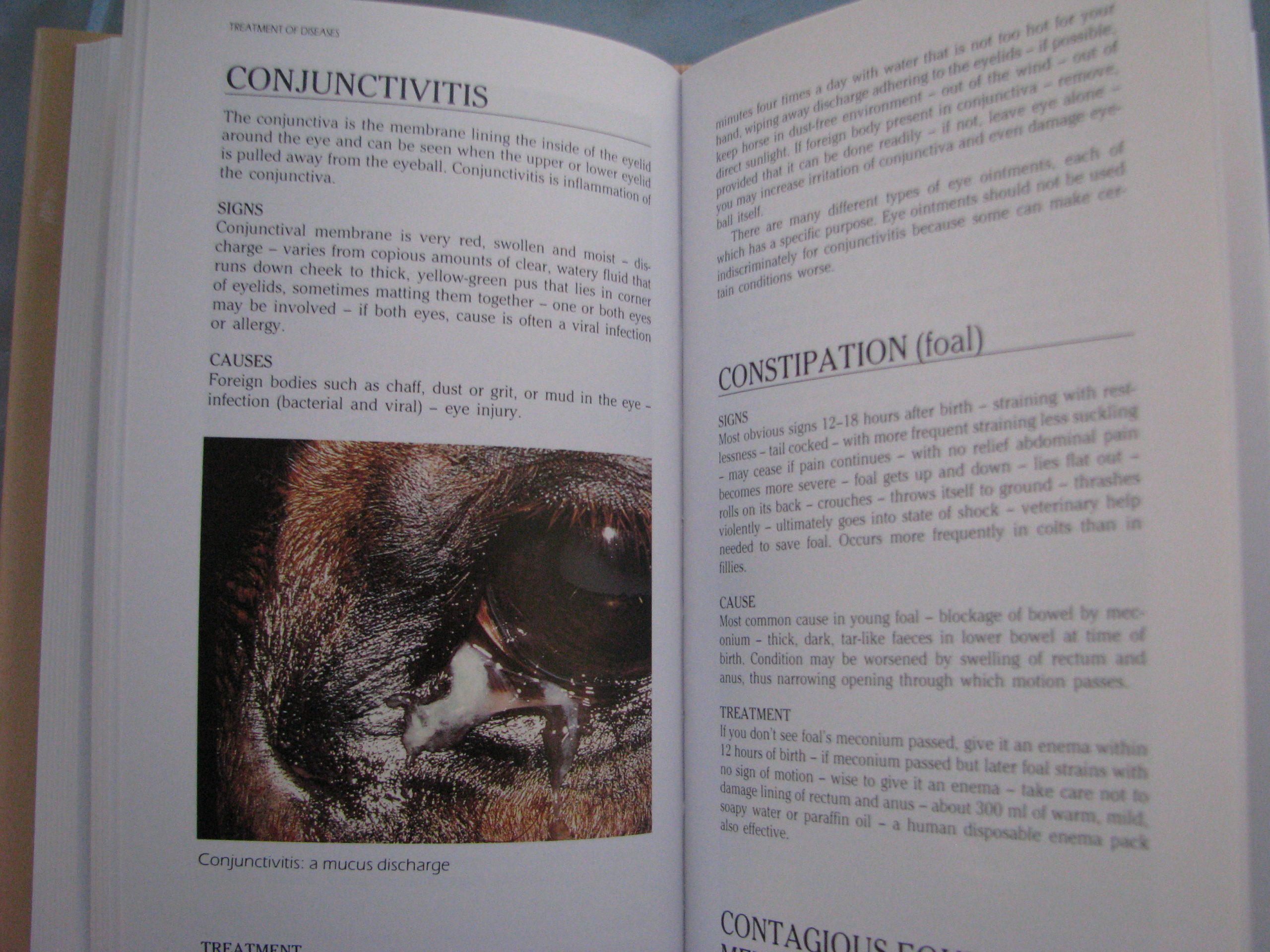 A-Z of Horse Diseases and Health Problems, Tim Hawcroft - Image 8