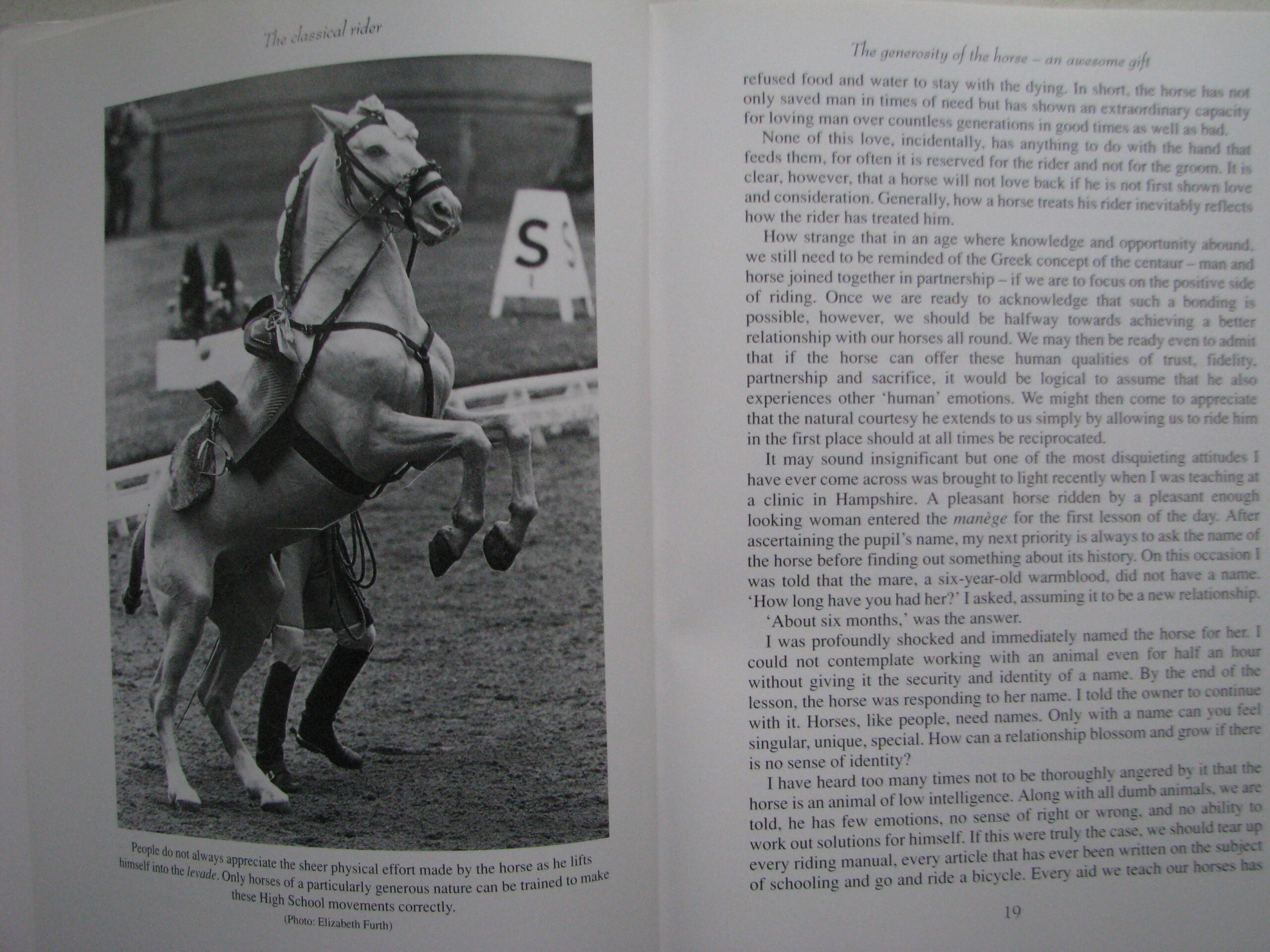 Sylvia Loch, The Classical Rider - Horse Books