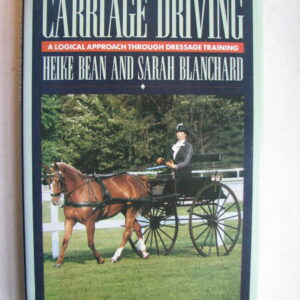 Carriage Driving Heike Bean and Sarah Blanchard