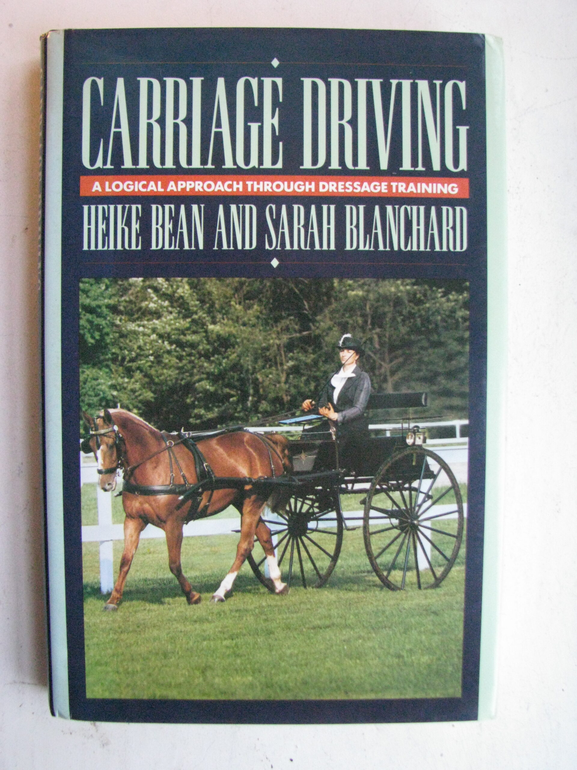 Carriage Driving Heike Bean and Sarah Blanchard